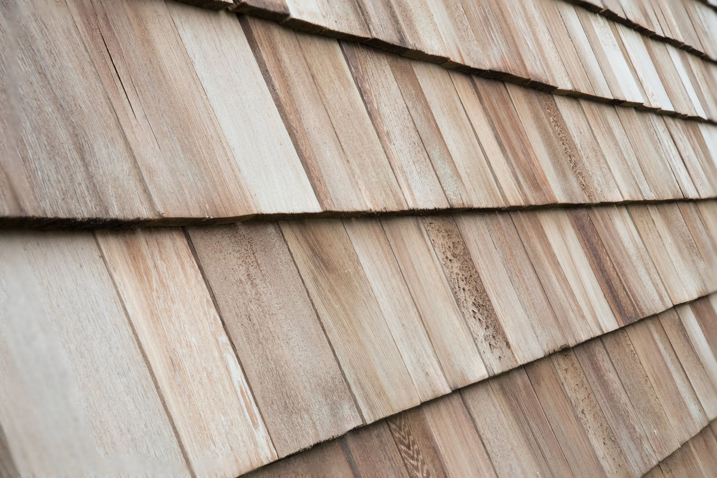 Shingled Roof_Stock.jpeg
