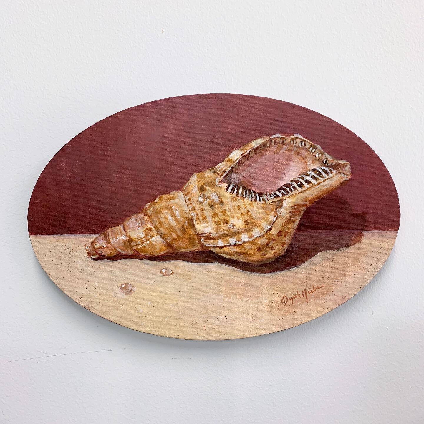 Trident Shell on Red Background, 2022
12&rdquo; x 8&rdquo;
Available $300
DM for purchase

#art #artwork #bahamianart #coastalart #coastaldecor #bahamas #bahamian #shell