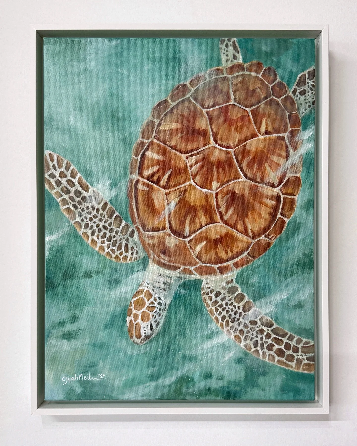 Original framed sea turtle painting available at @oasislivingbah 🐢🩵

12&rdquo; x 16&rdquo; before frame
$750 + vat 

#Bahamas #BahamianArt #Turtle