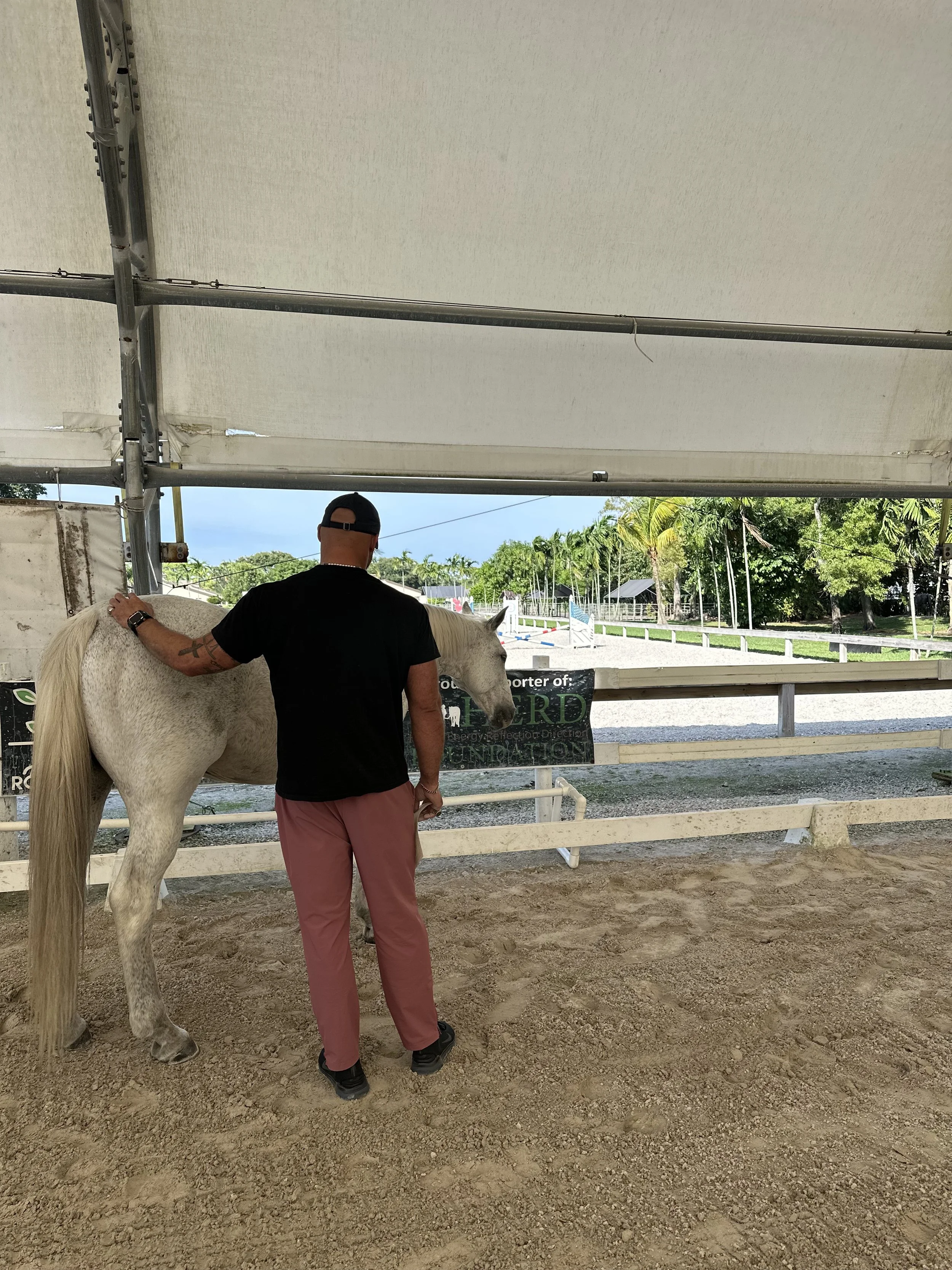 A man stands inside a covered area, petting a white horse, with green trees and a riding arena visible in the background.