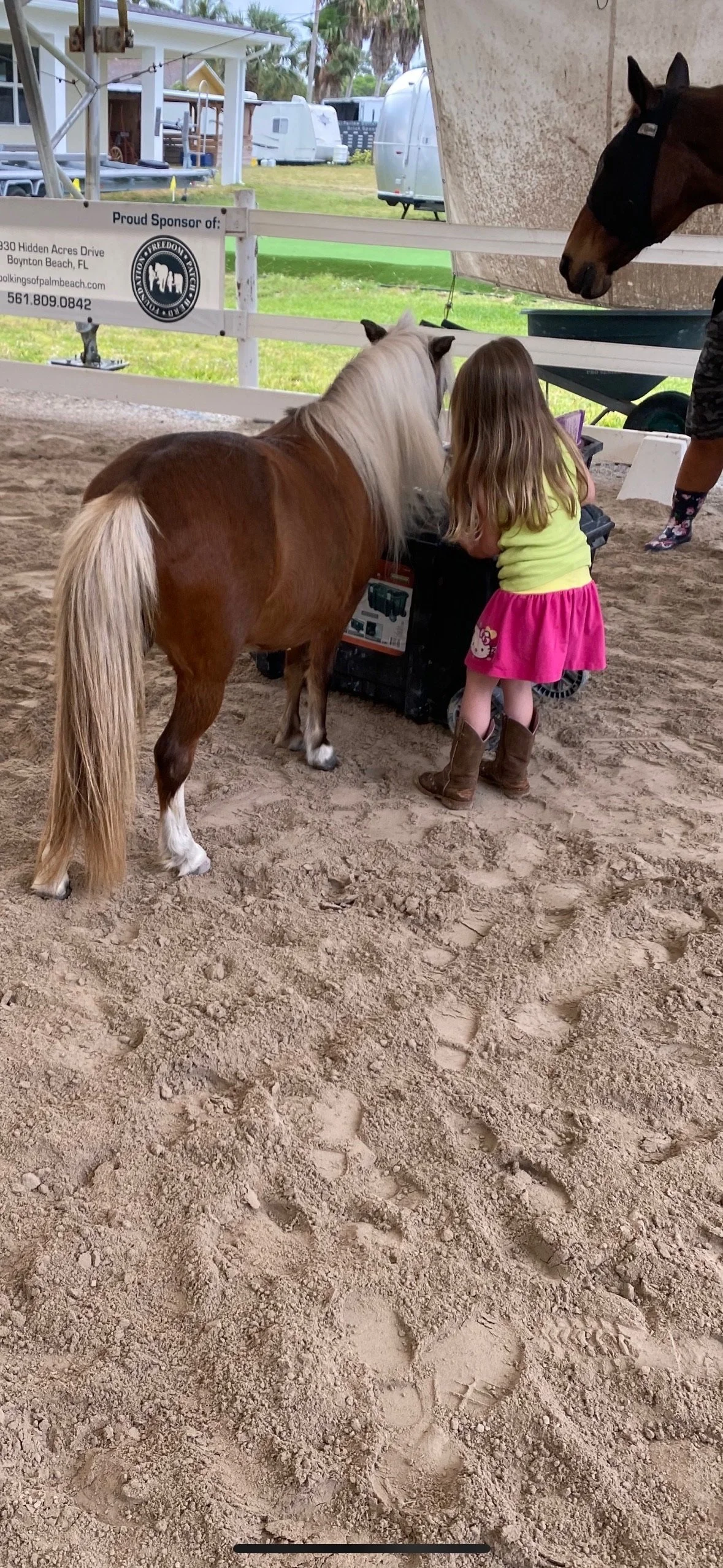 View recent photos(9) 2.jpeg