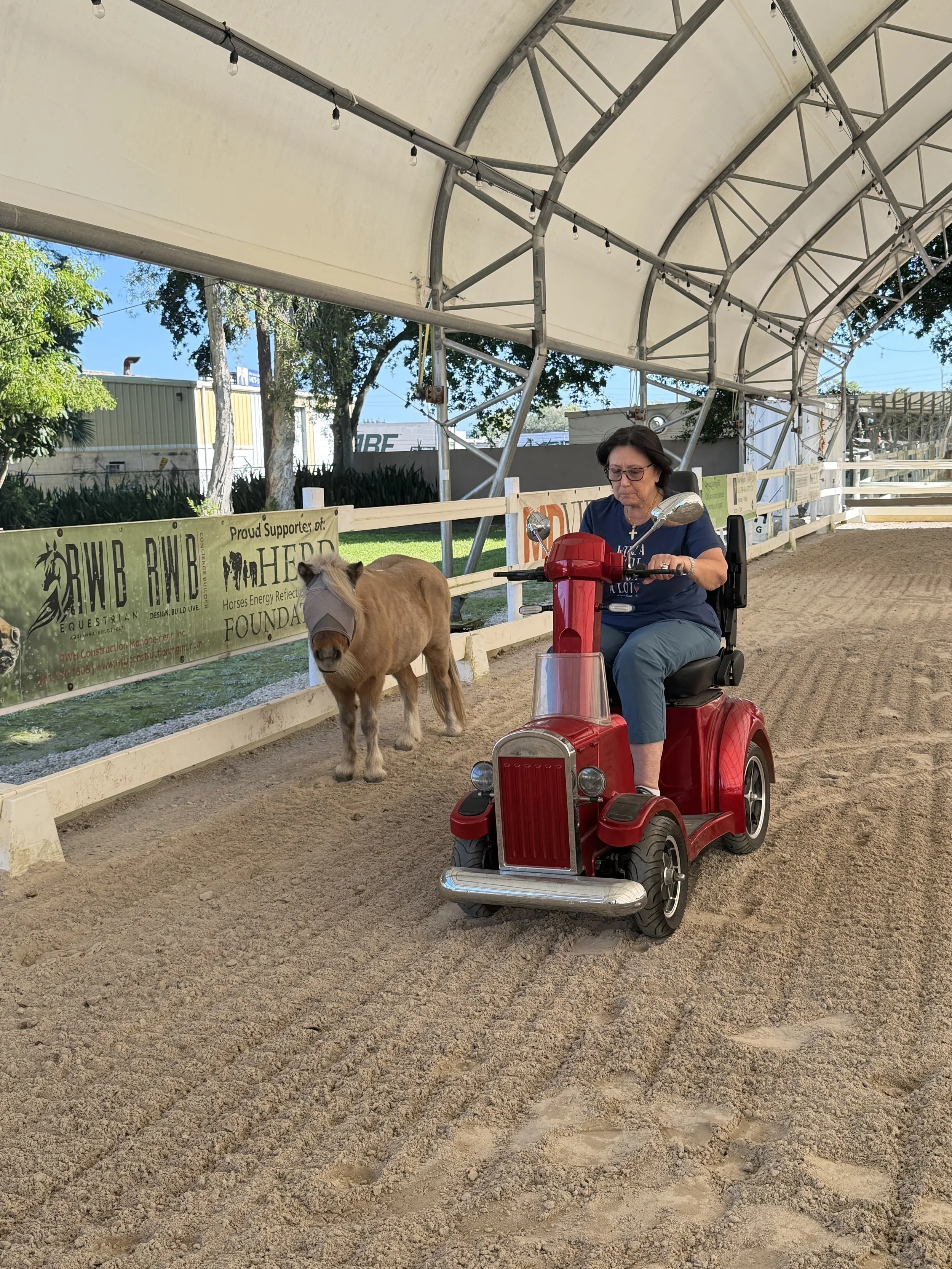 Horse & Veteran Interactions