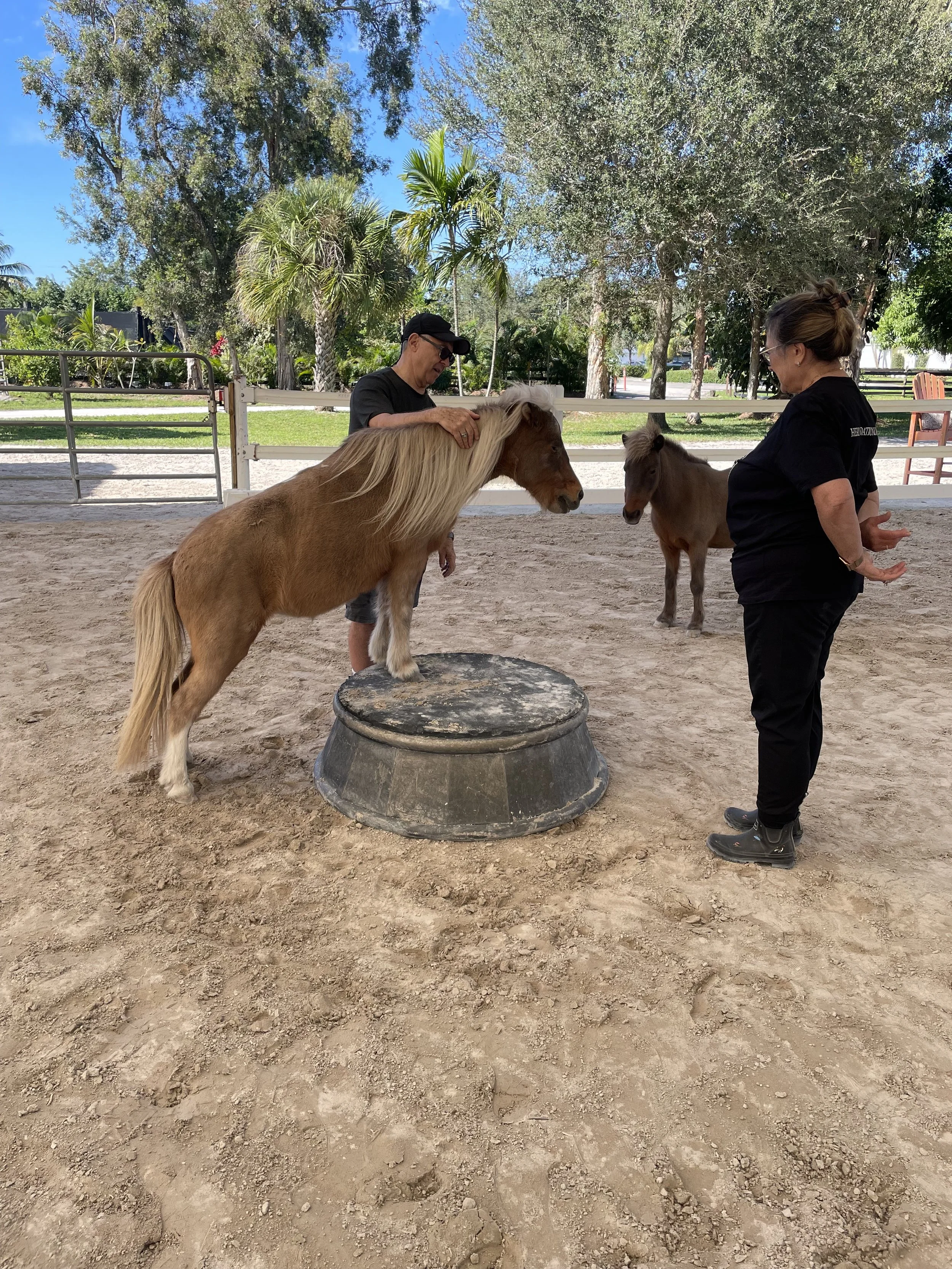 The Power of Listening