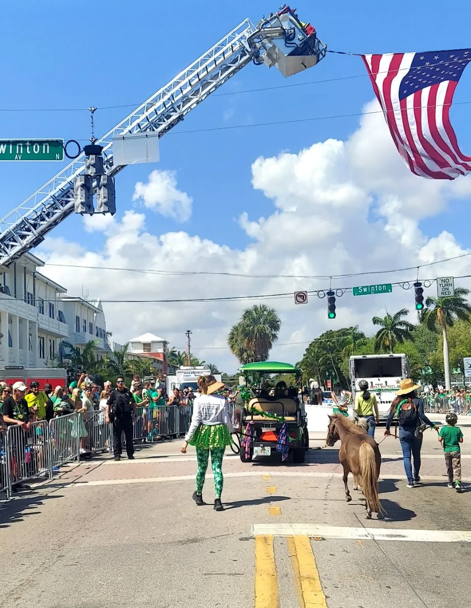 HERD Foundation’s Annual St. Patrick’s Day Parade