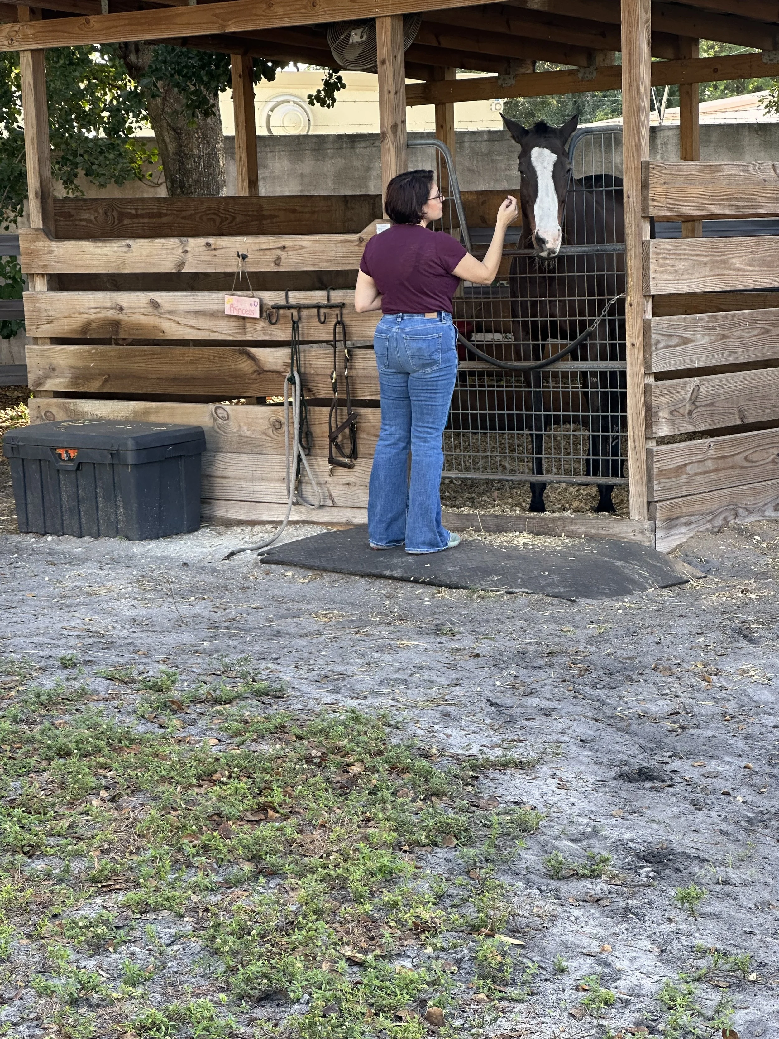 A woman standing outside a wooden horse stable, reaching out to pet a black horse with a white blaze on its face through the metal gate.