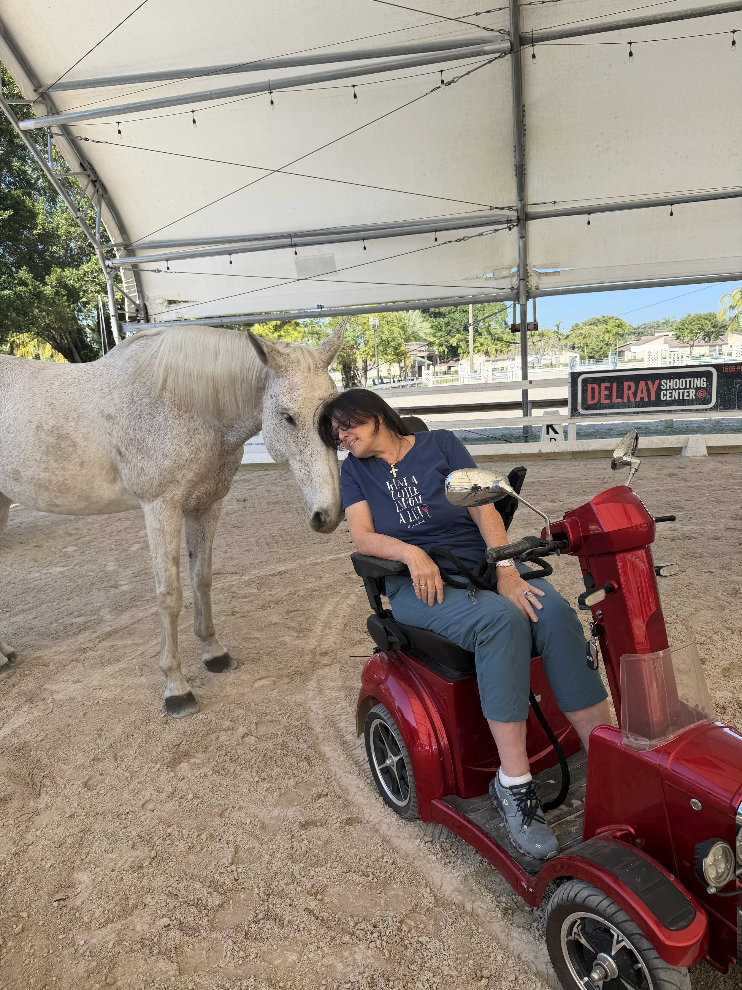 Woman in a wheelchair and a white horse inside a covered equestrian arena.