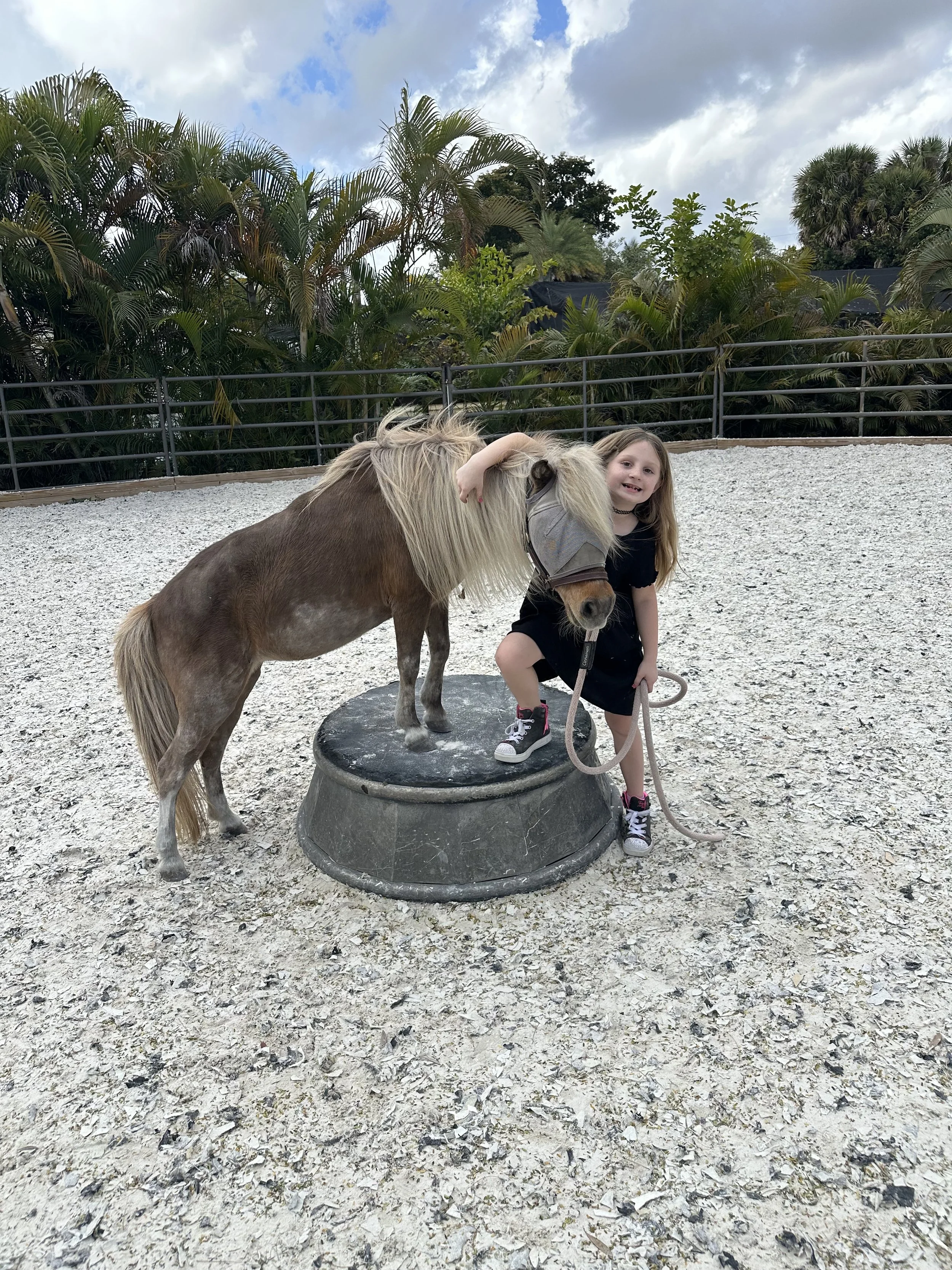 A young girl with long hair, wearing a black t-shirt and sneakers, hugging a small pony on a platform in an outdoor enclosure with palm trees and a cloudy sky in the background.