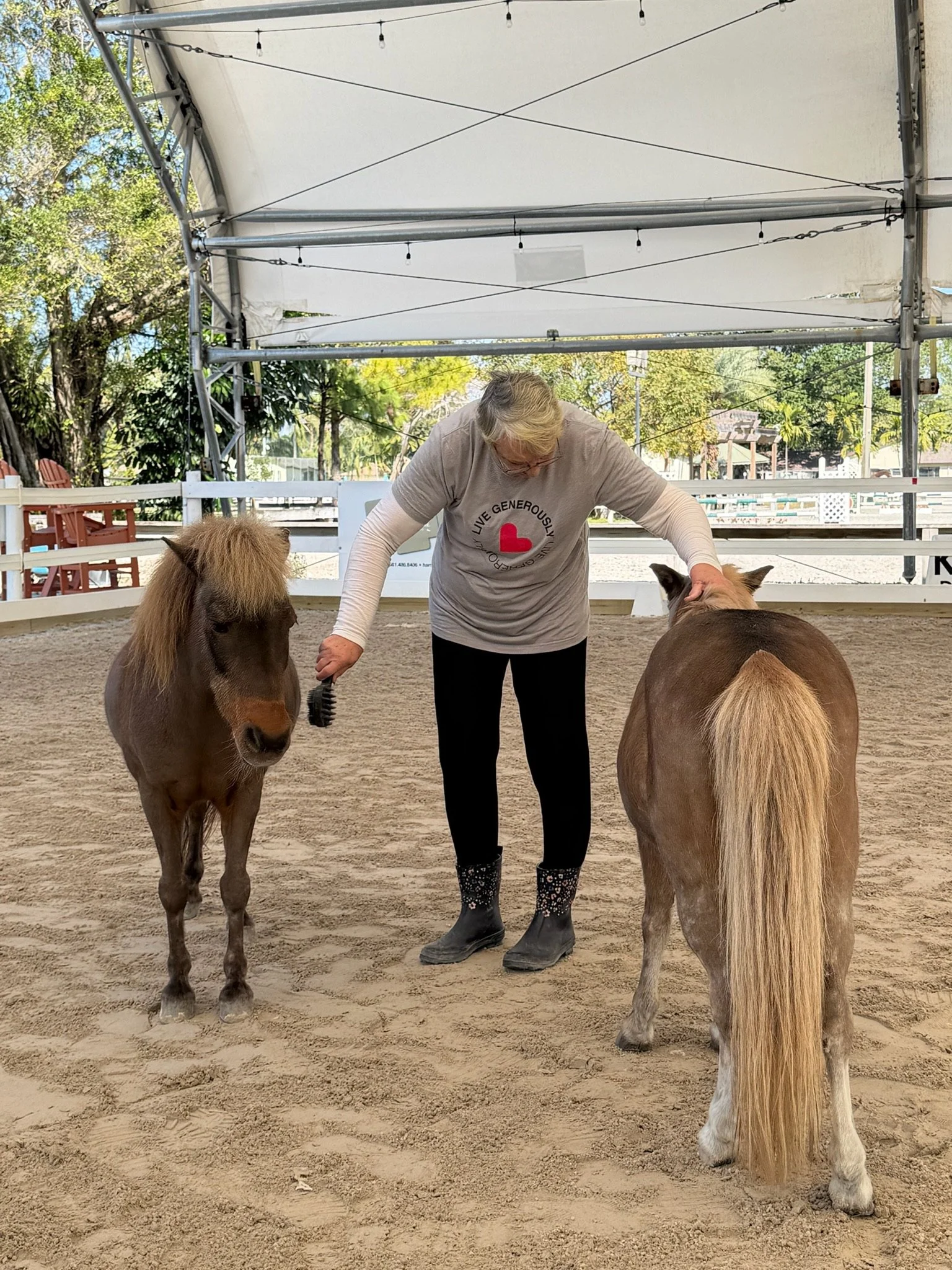 A woman in a gray shirt with a red heart and the words "Live Generously" is grooming two small ponies inside an outdoor arena with a sandy surface. The ponies have brown coats and light manes, and the woman is brushing one of them while her other han