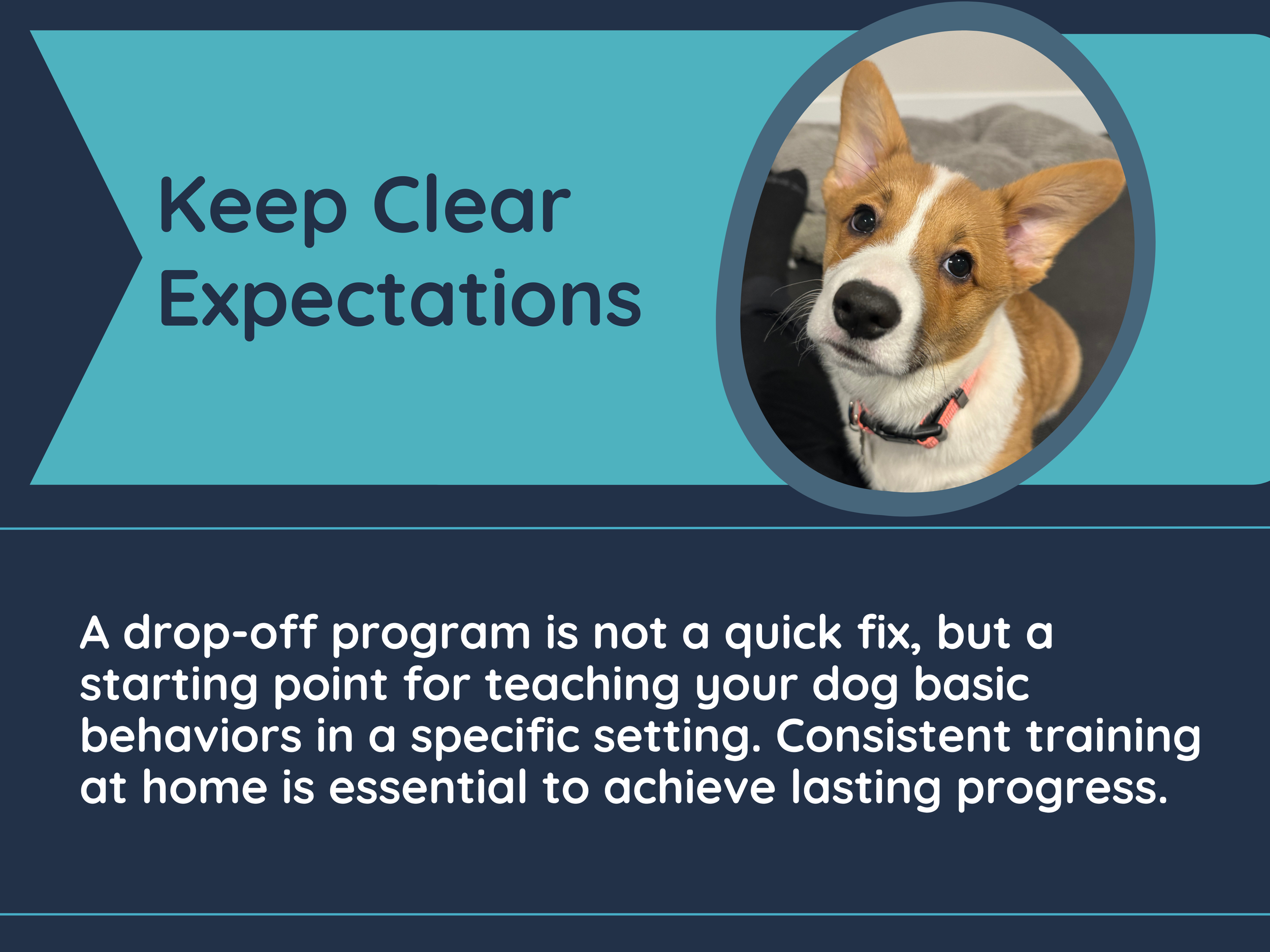 A motivational poster with a picture of a dog and the text 'Keep Clear Expectations' and a paragraph about dog training, emphasizing consistency for lasting progress.