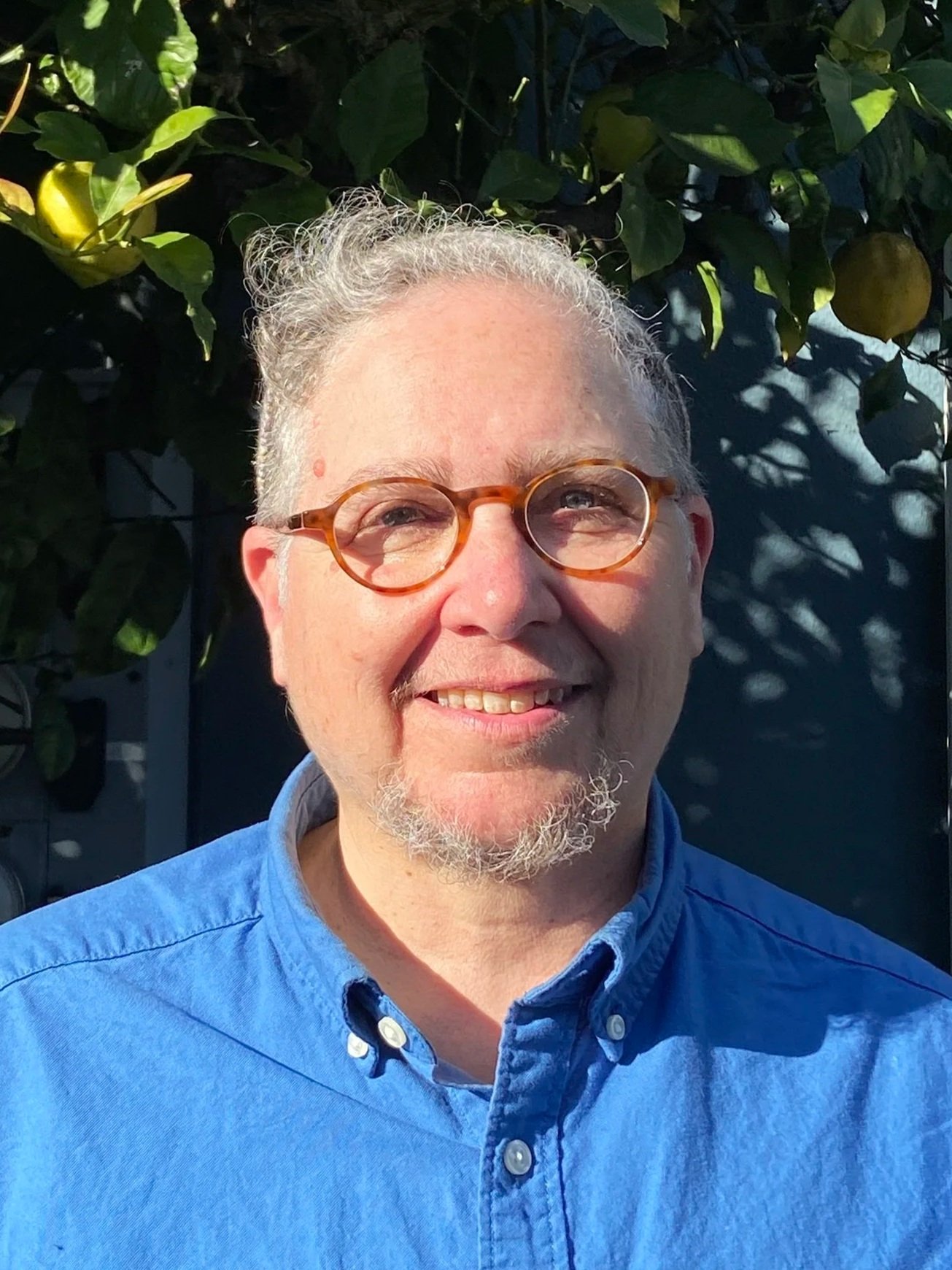 Rabbi Dev Noily, Faculty