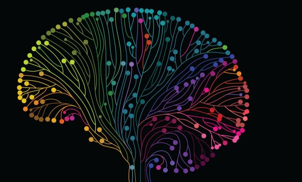 multicolored-brain-connections_shutterstock_347864354-1068x601.jpg