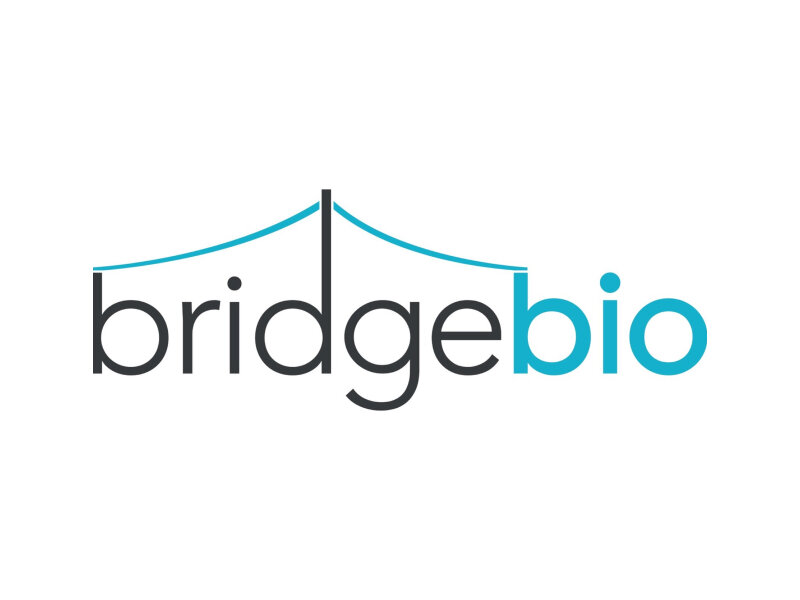 Bridge Bio.jpg
