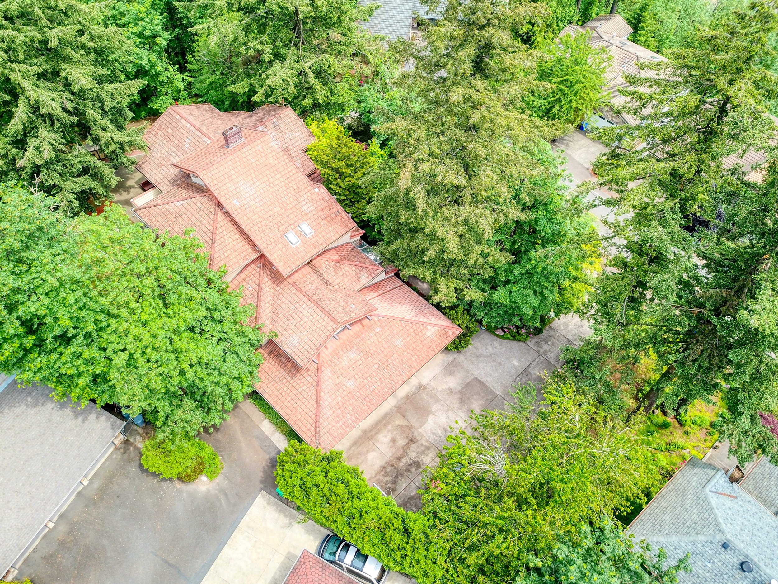 drone03.jpg