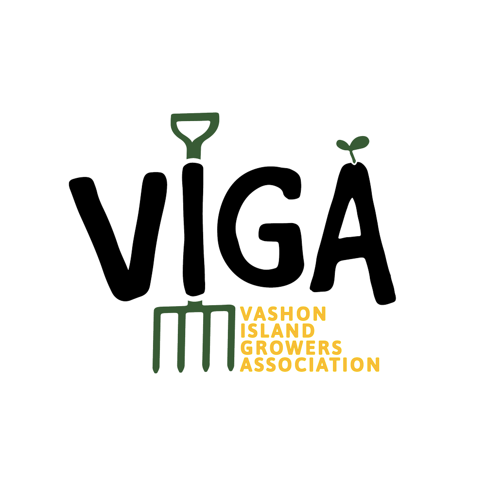 Logo for Vashon Island Growers Association featuring the word 'VIGA' with a small plant sprout on the letter 'A' and a gardening fork incorporated into the design, with the full name in yellow text.
