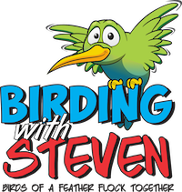 Birding with Steven