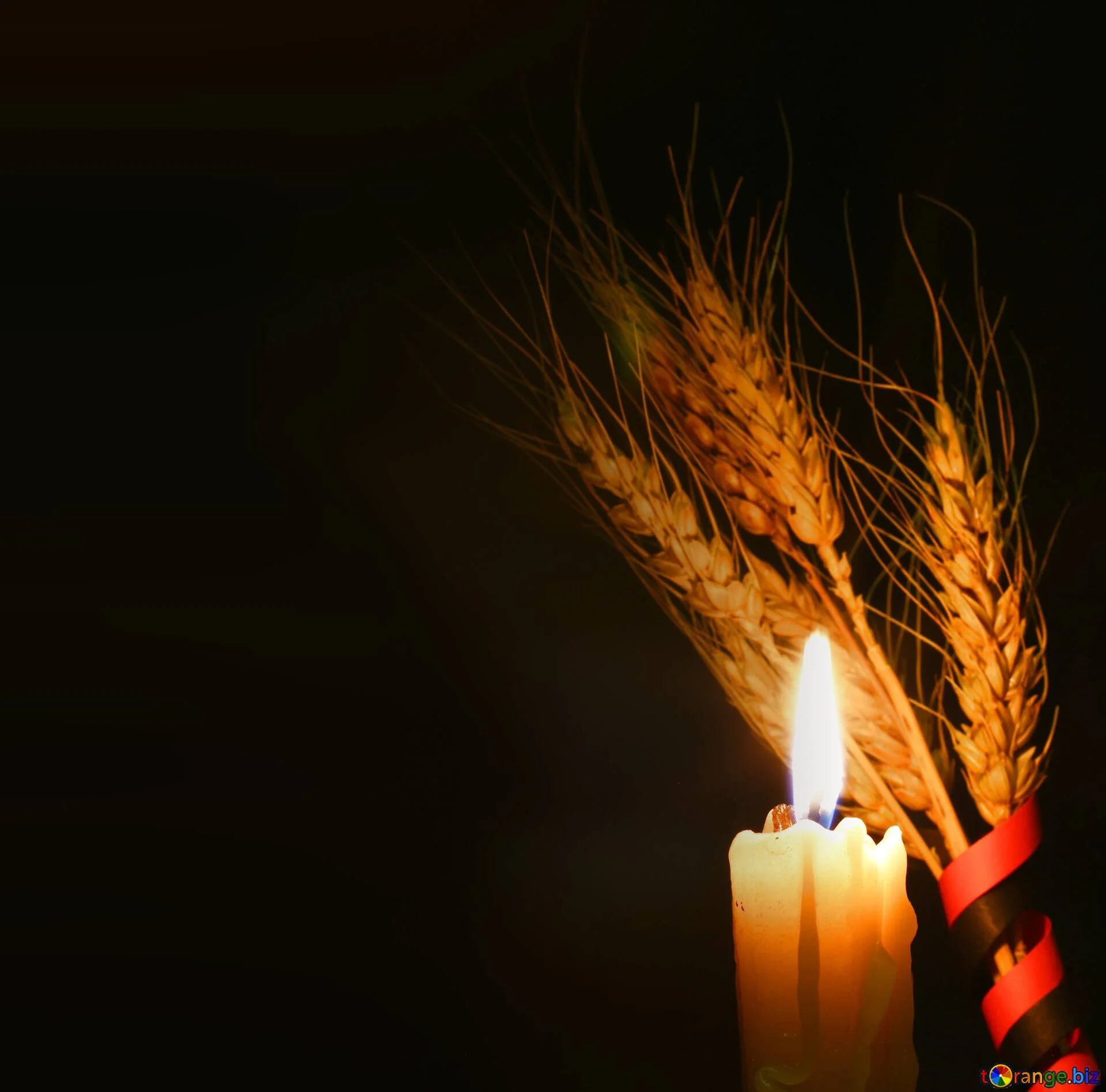 Gregory John Randall