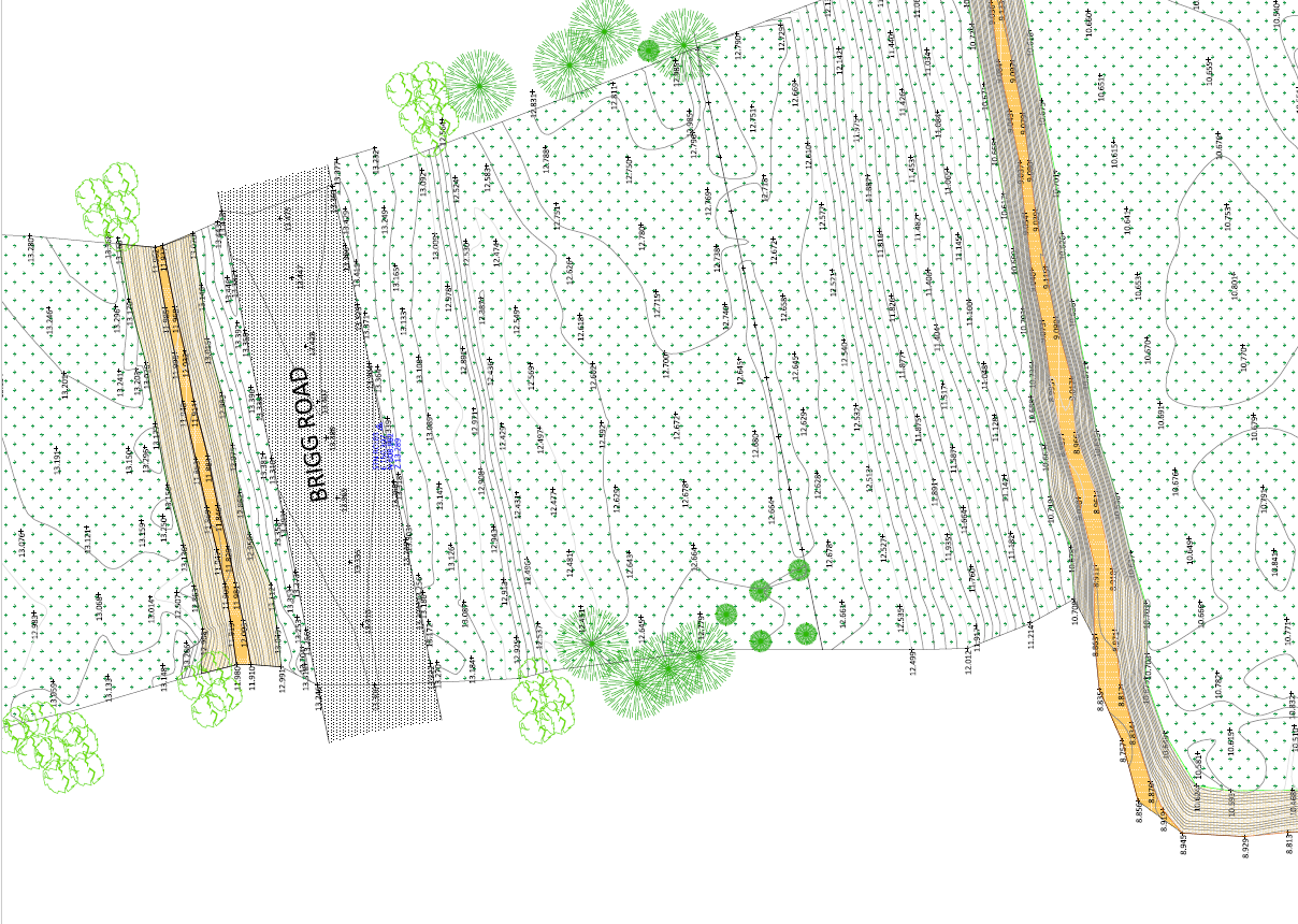 scotton.png