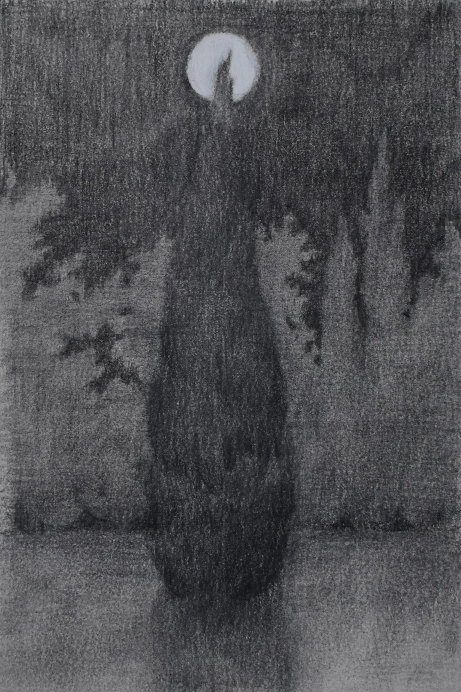 Moon and Cypress Tree 4 x 6 inches, graphite and white chalk on paper, 2024 