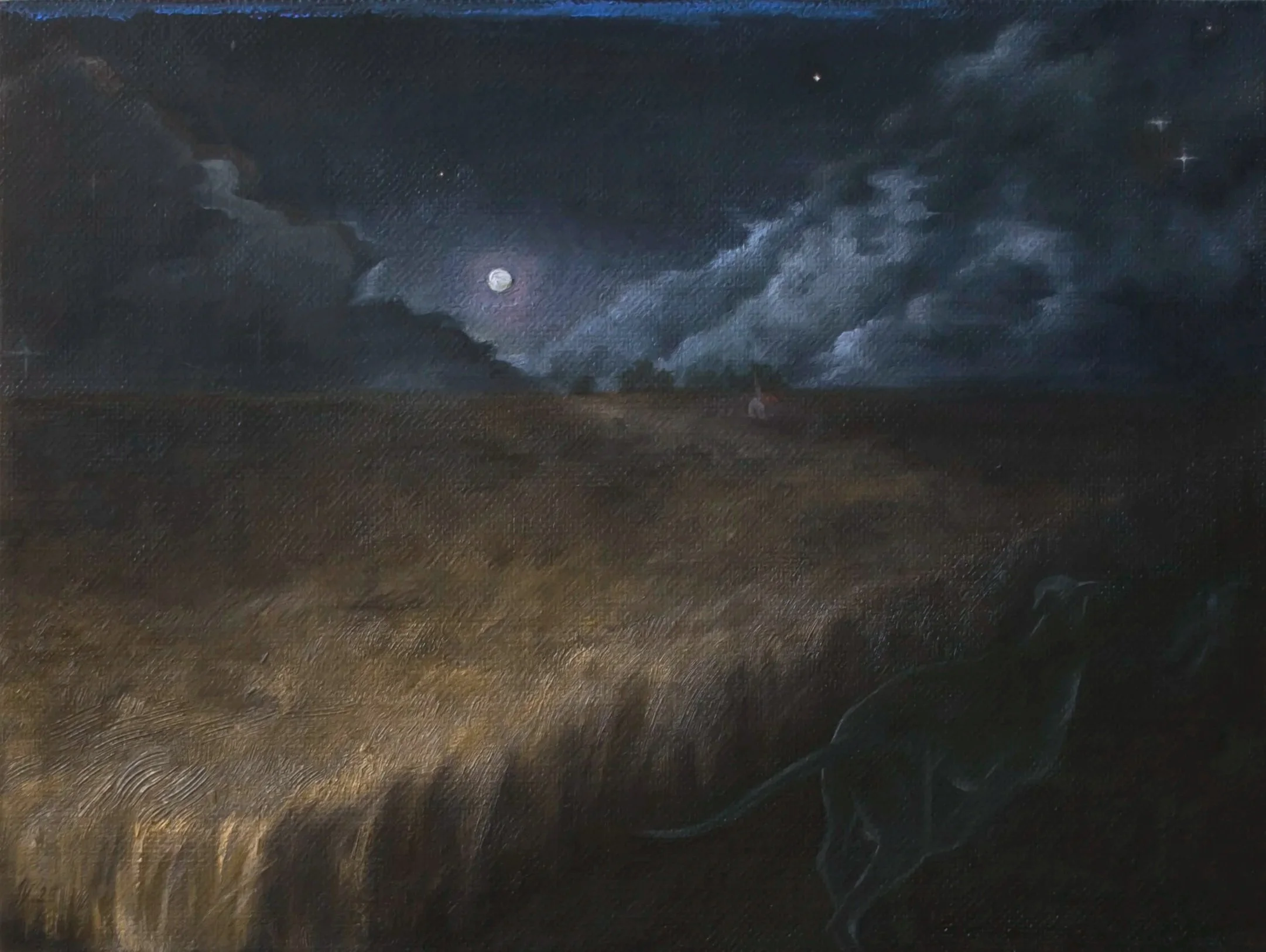 Midnight Harvest 9 x 12 inches, oil on linen mounted on panel, 2025