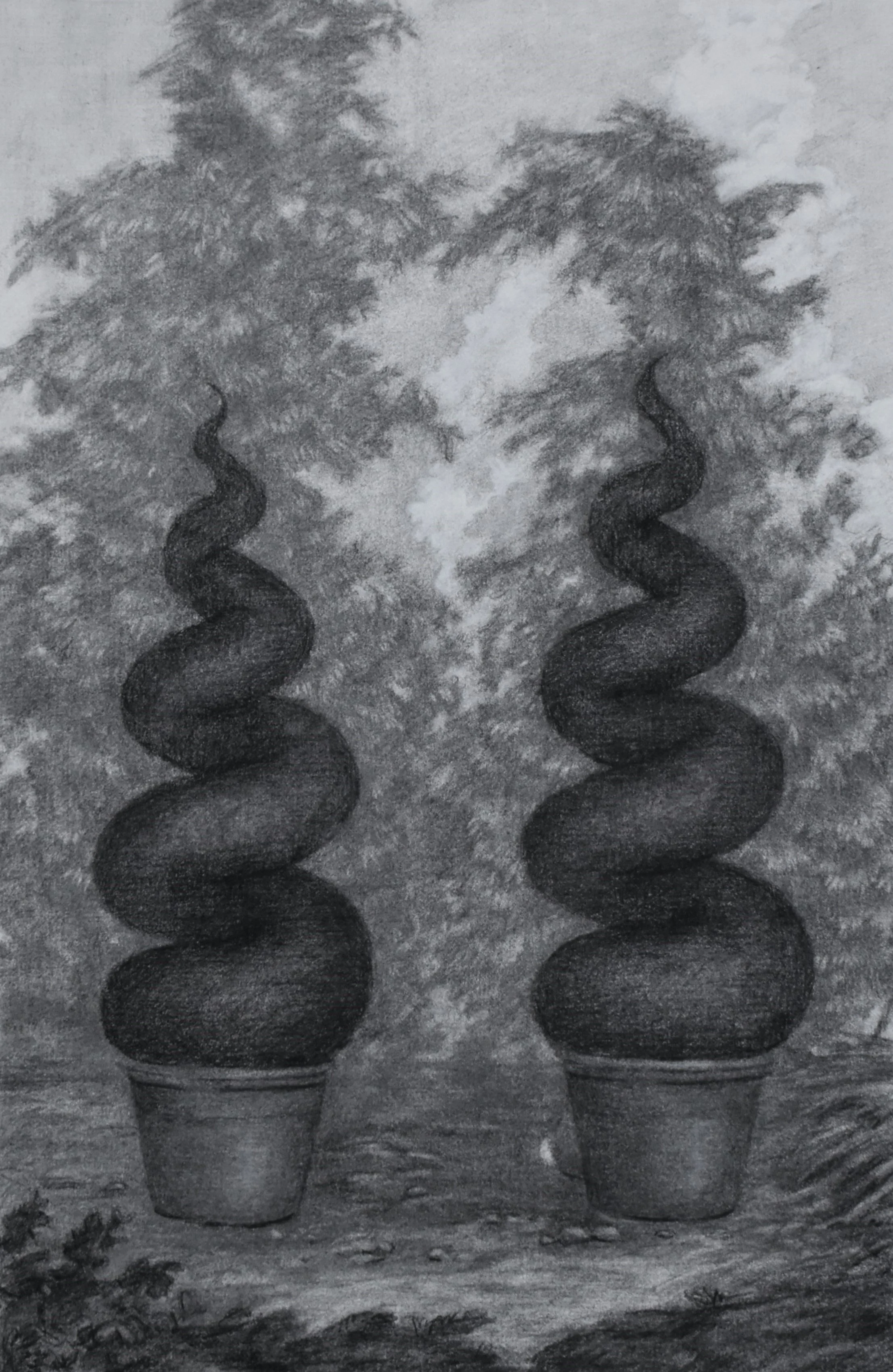 Sentinels   10.25 x 16 inches, graphite, white chalk, and charcoal on paper, 2024 