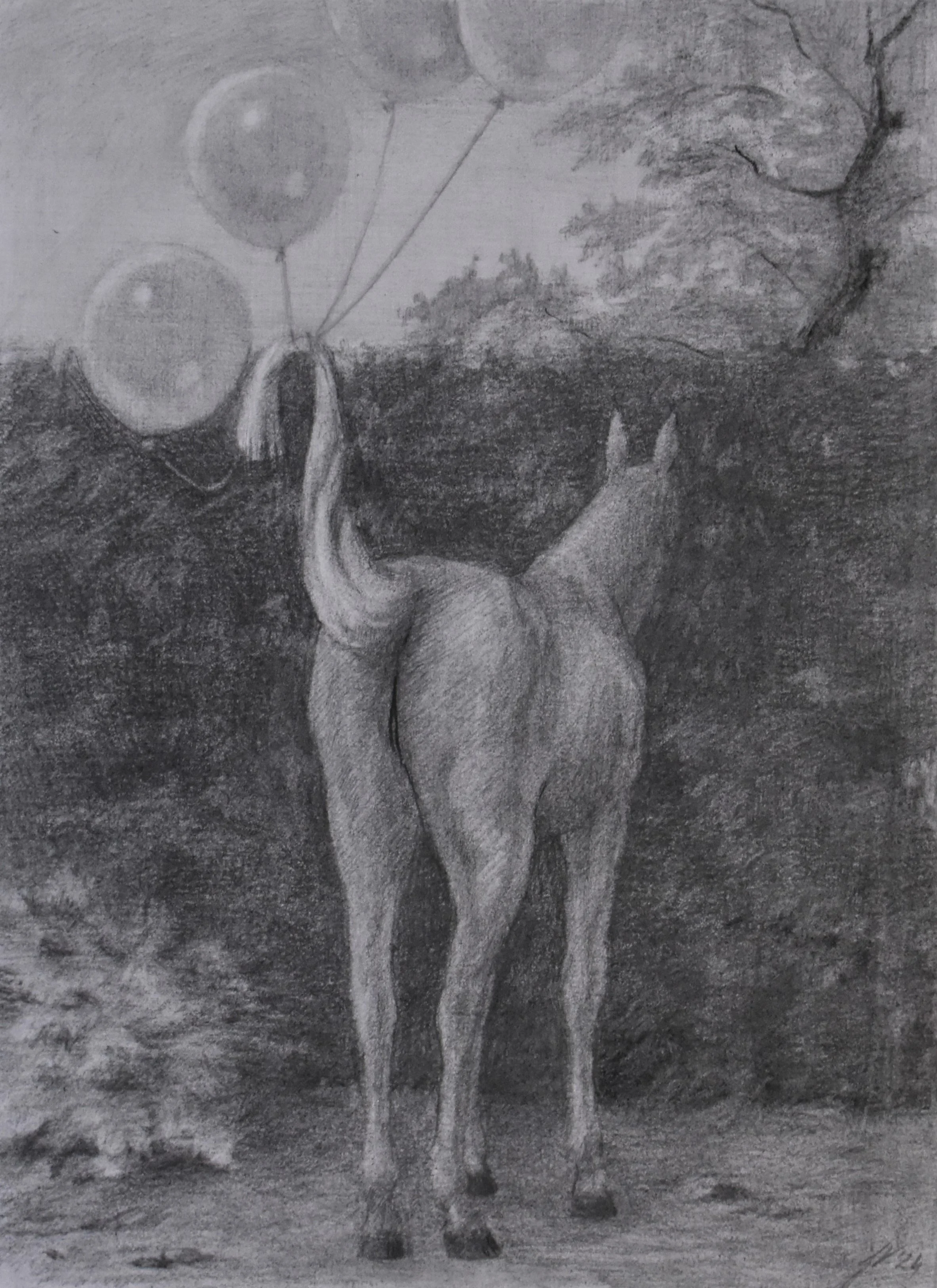 Glass Ceiling   9 x 6.75 inches, graphite and charcoal on paper, 2024 