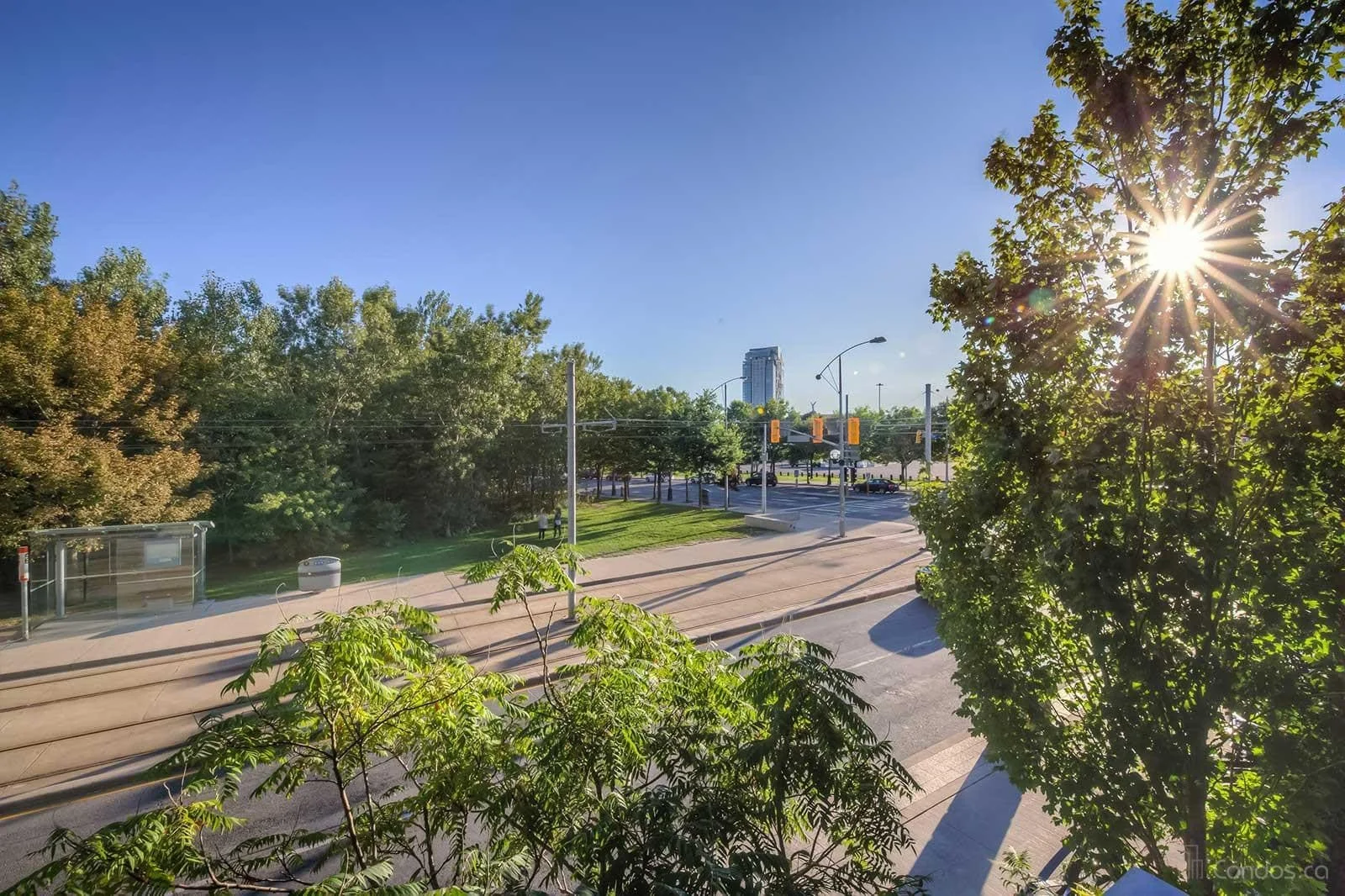 231 fort york building for rent