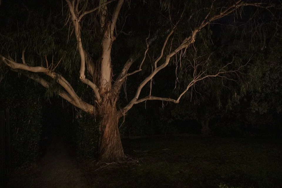 Lynn & Jaime's Wedding - full edit- low res (658 of 871) - Copy.jpg