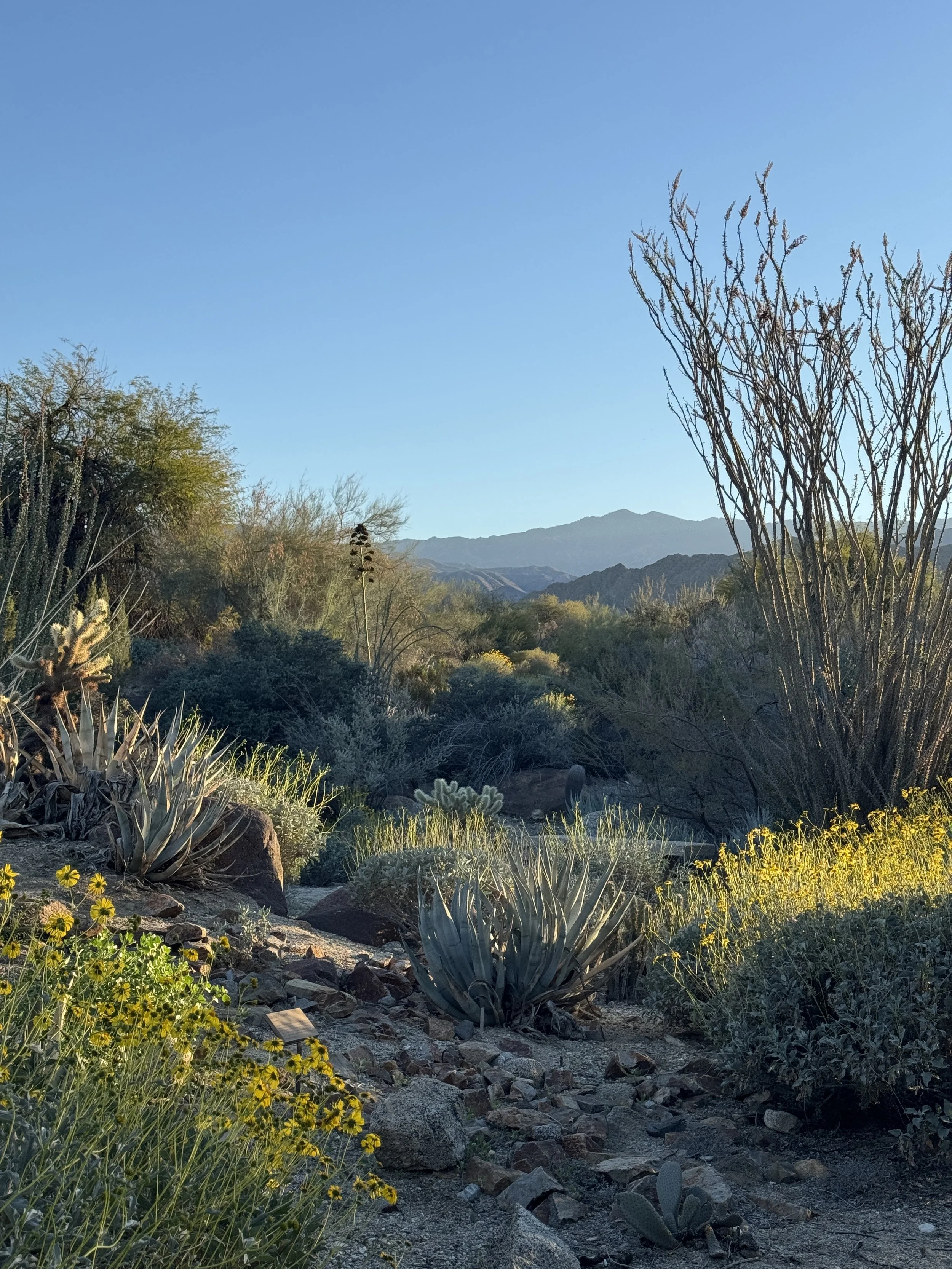 The Art of Slowing Down: Why Your Best Work Comes From Stillness