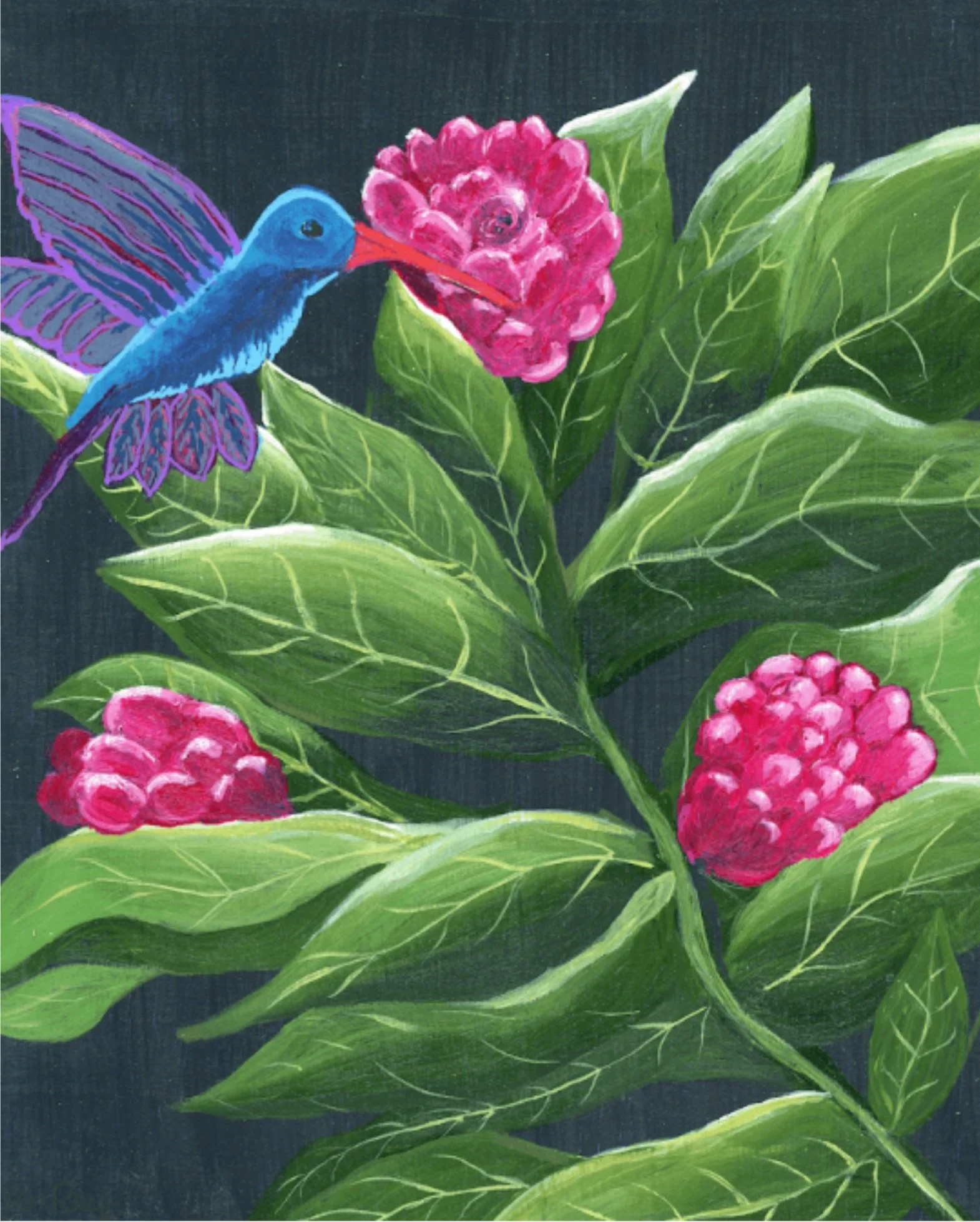 Jen Ray Studio