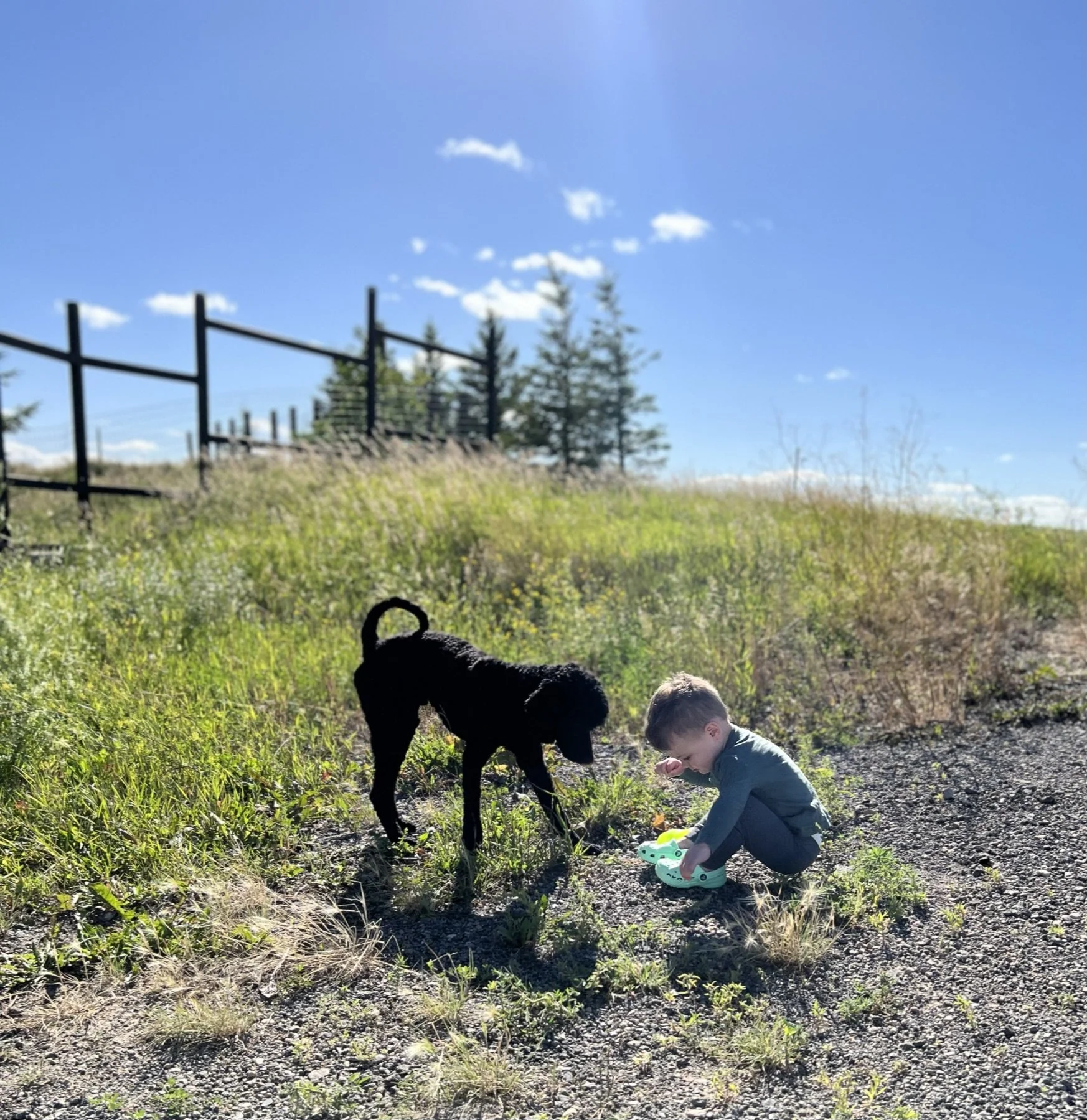 IMG_5104.JPEG