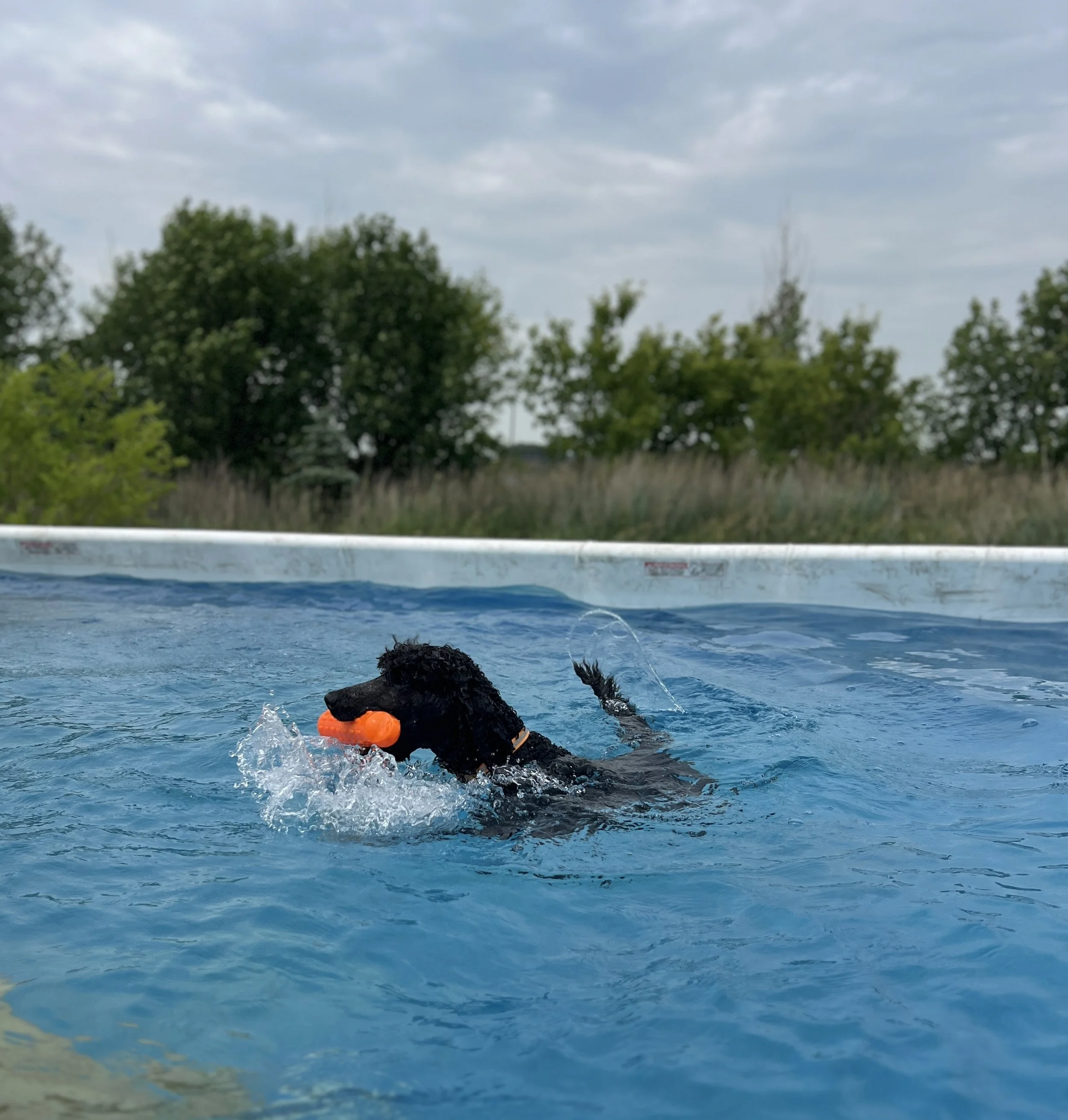IMG_4051.JPEG