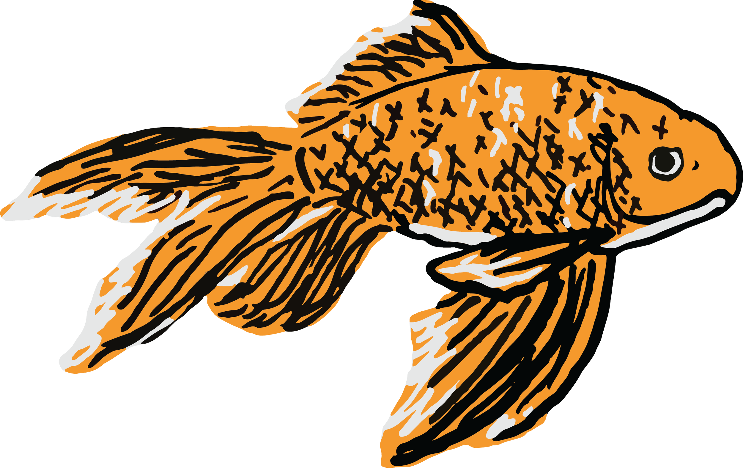 goldfish_single.png