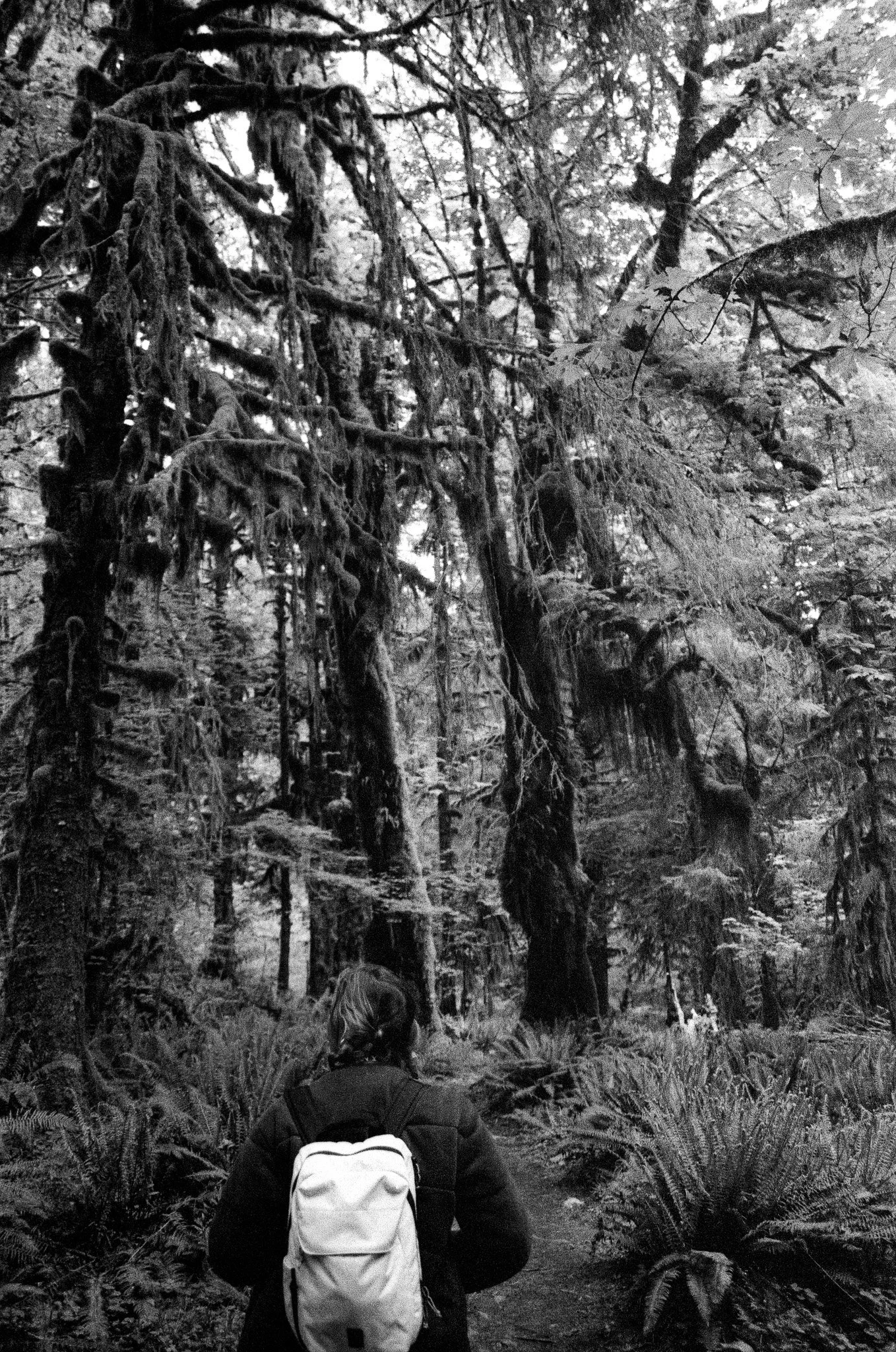 Scan07768.jpg
