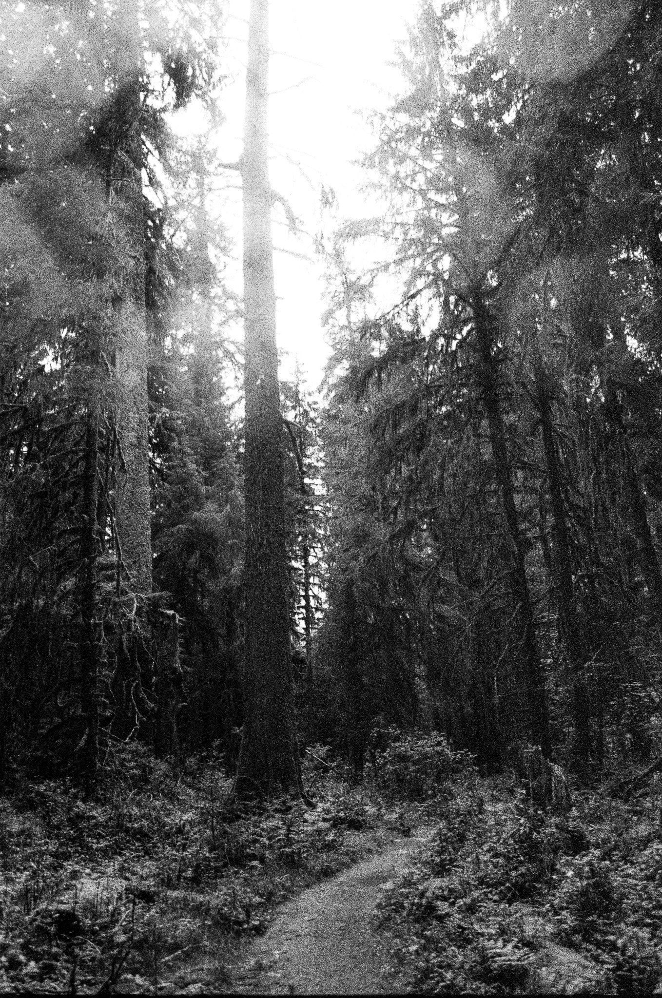 Scan07780.jpg