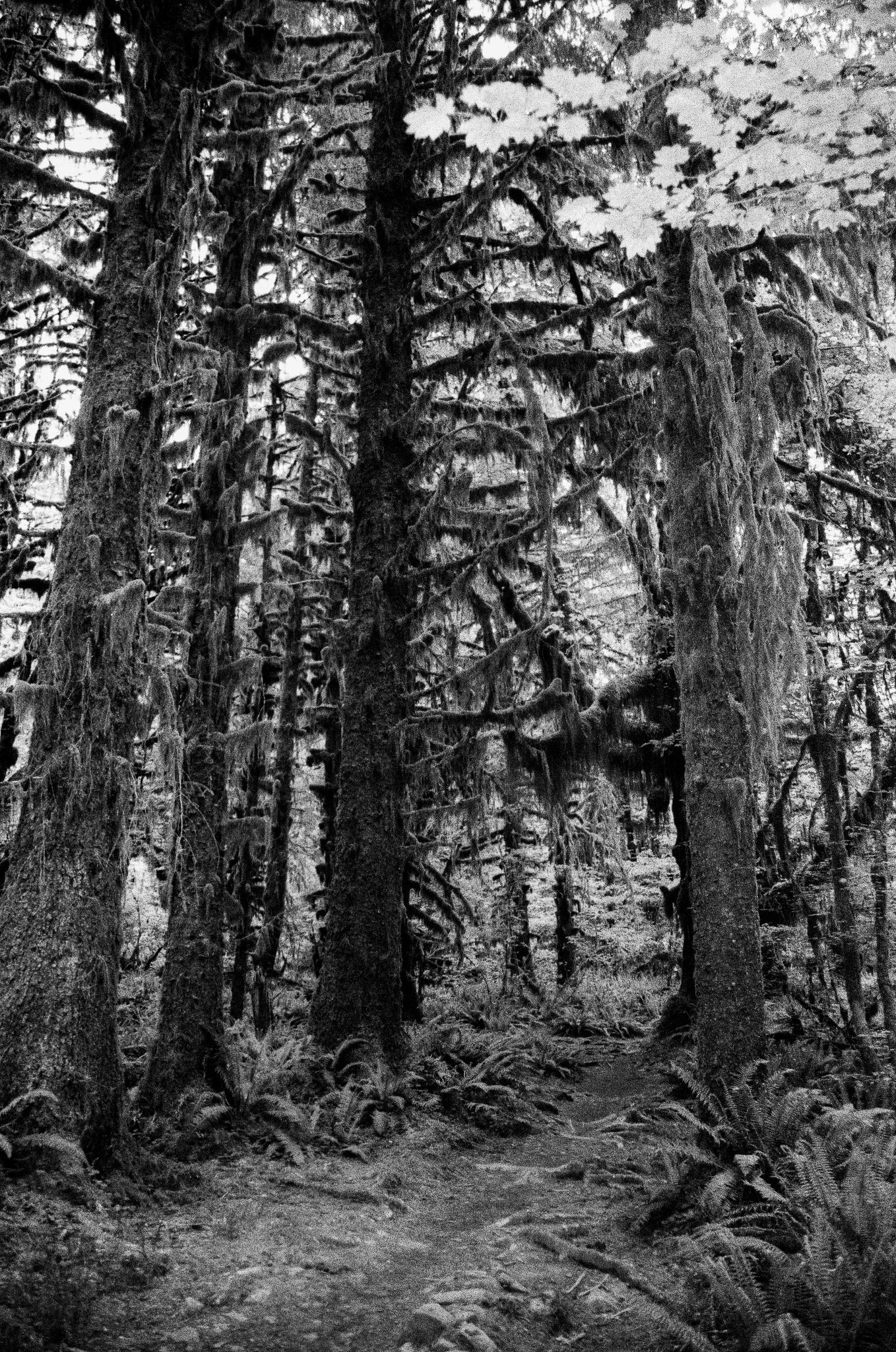 Scan07771.jpg