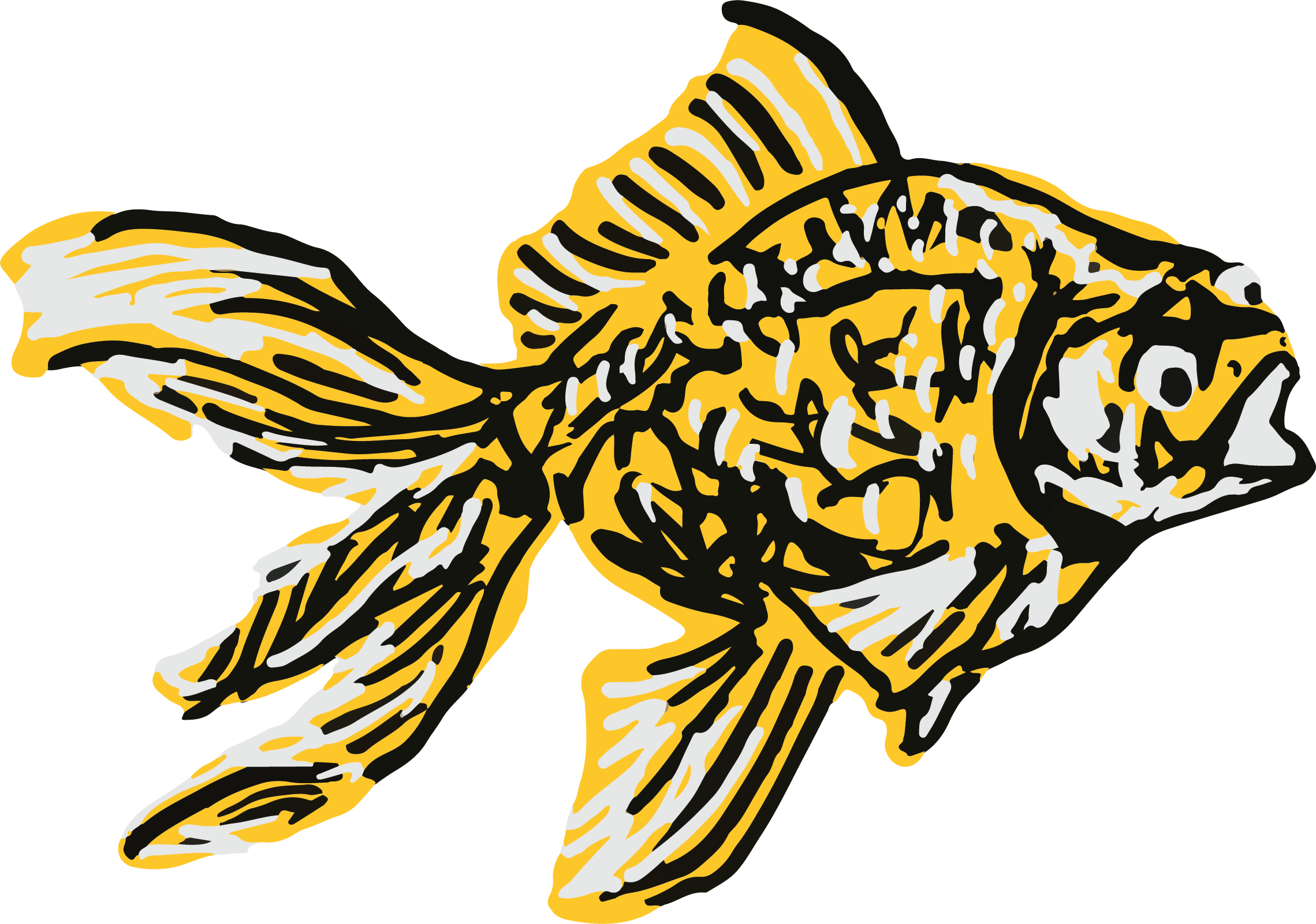 goldfish2vector.png
