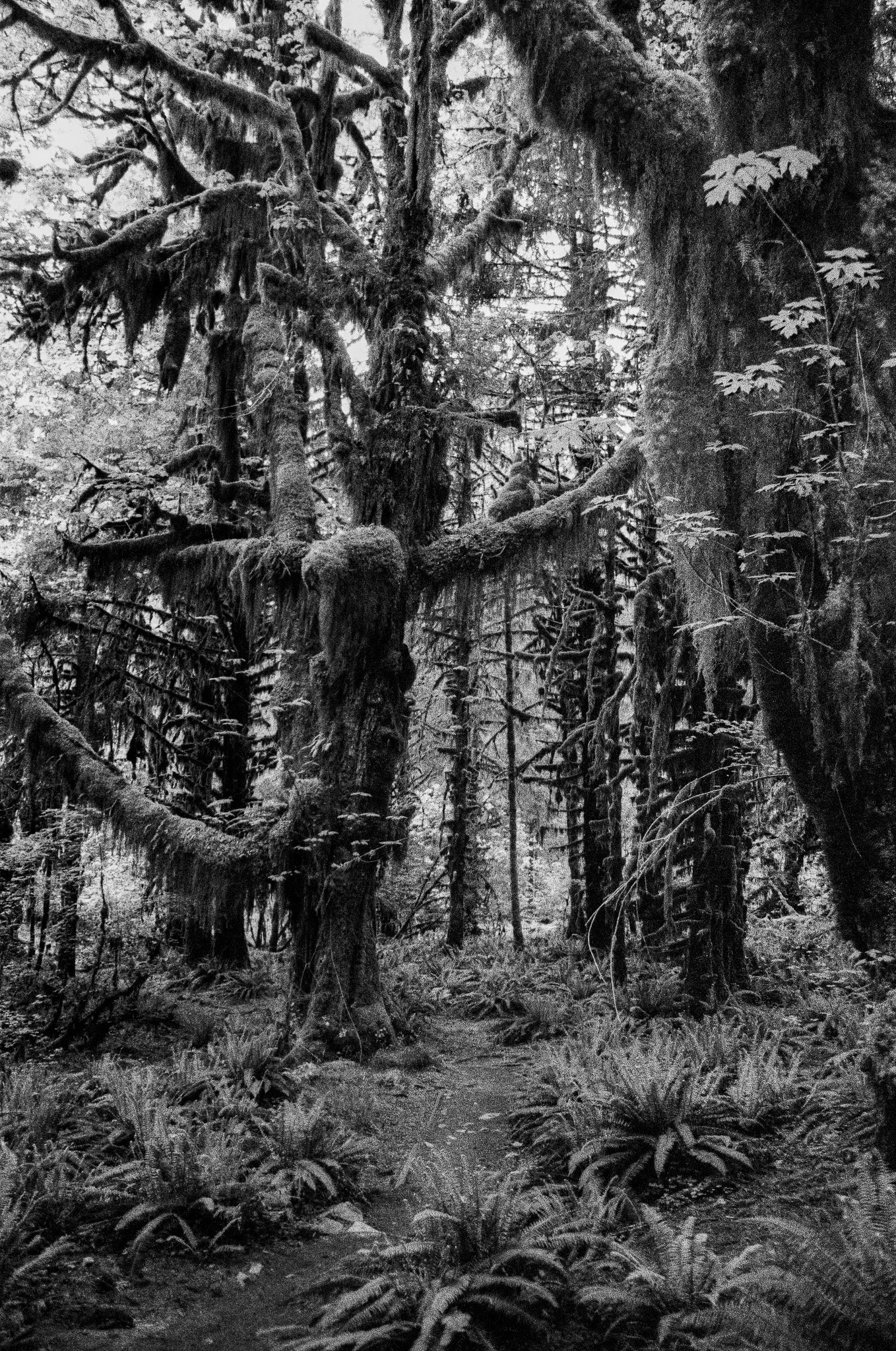 Scan07770-2.jpg