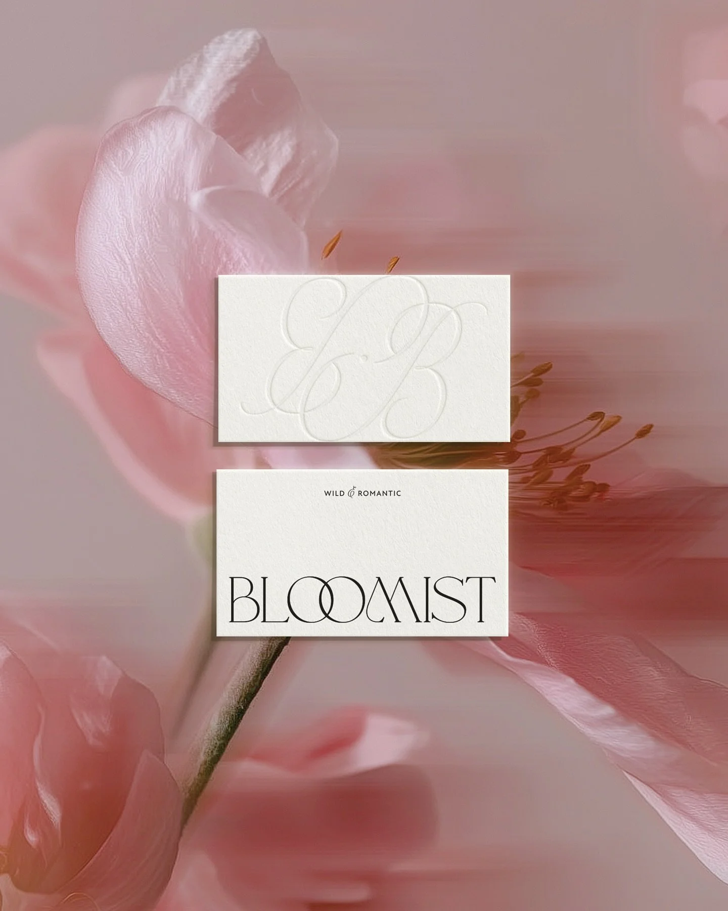 Blush, berry stem, peony bloom, and ecru &mdash; tones that feel wild and romantic, layered with richness and depth. 

@thebloomistadelaide&rsquo;s new palette and stationery reflect the way they design wedding florals: with softness, beauty, and a t