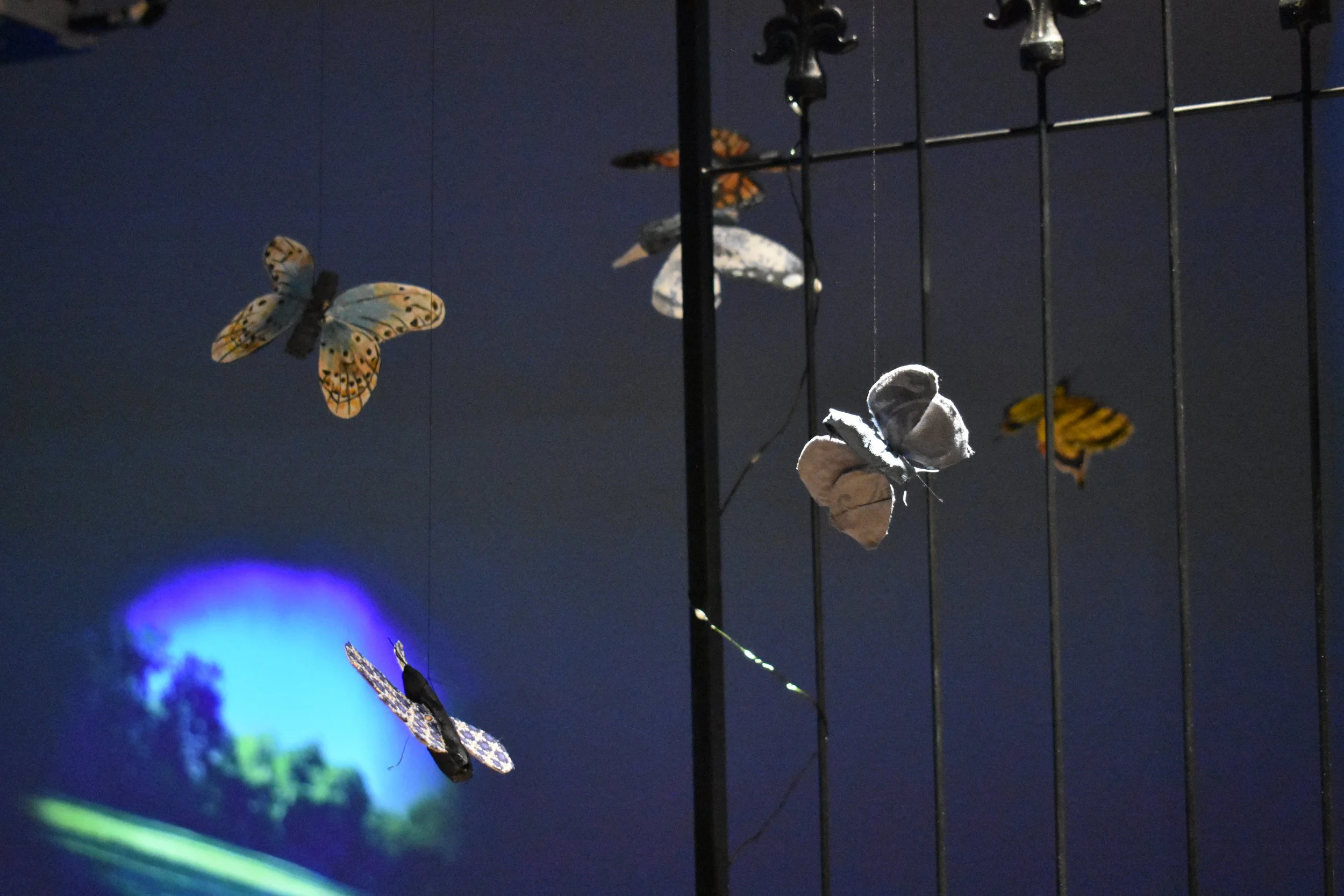 Scheiber_AwakeDreamingInstallation_01 (2).JPG