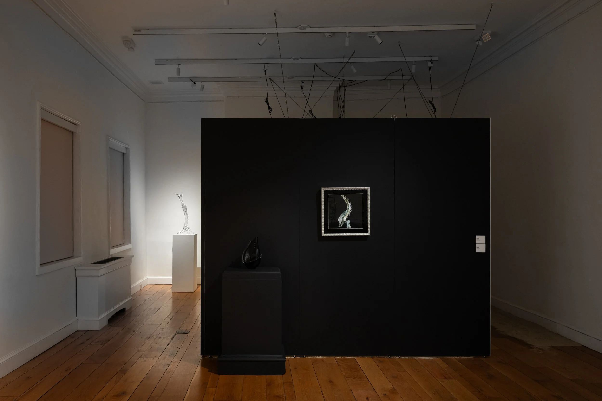 LizFaust_SPARK_Peale_11.07.25-4.jpg