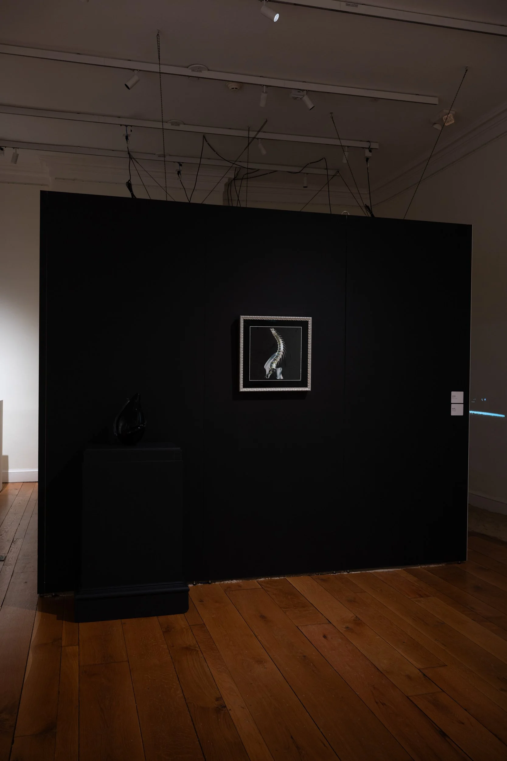 LizFaust_SPARK_Peale_11.07.25-25.jpg