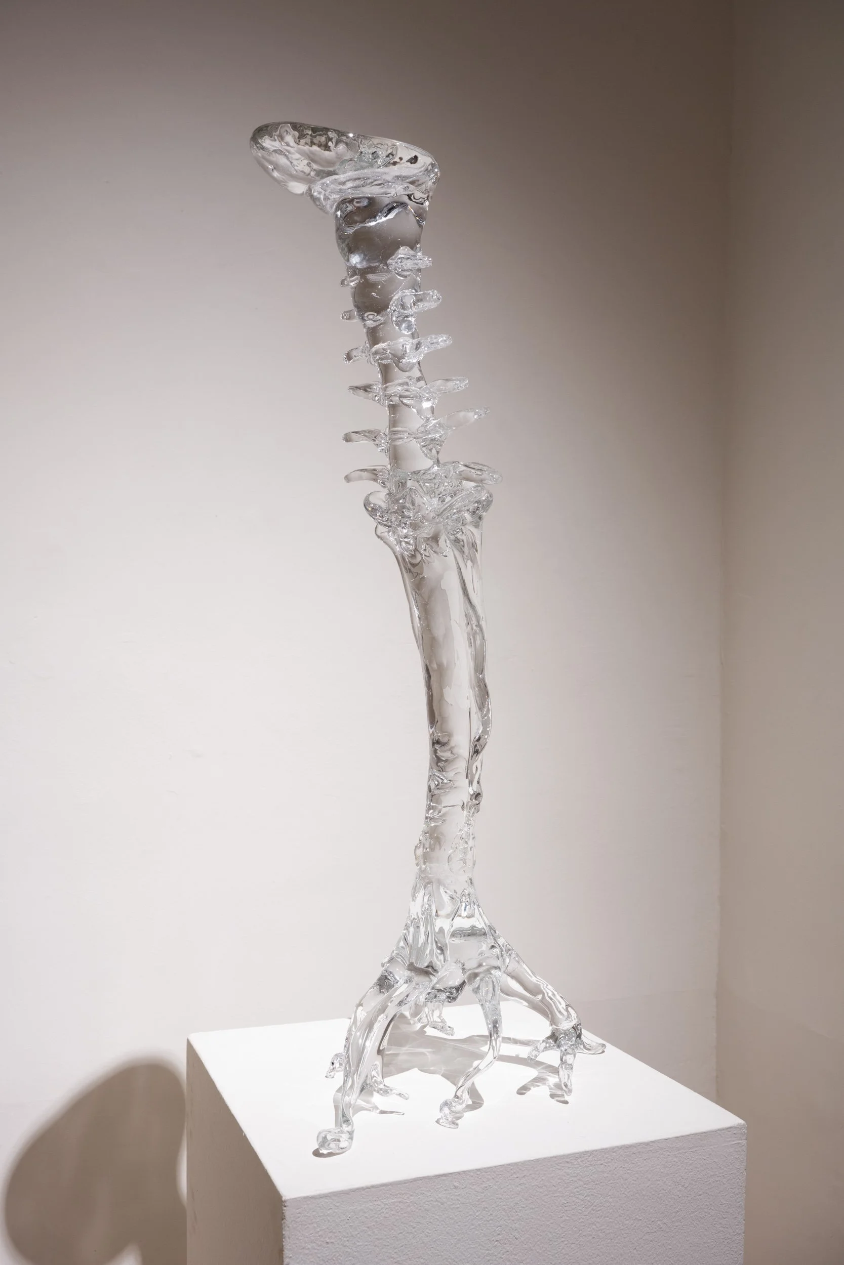 LizFaust_SPARK_Peale_11.07.25-28.jpg