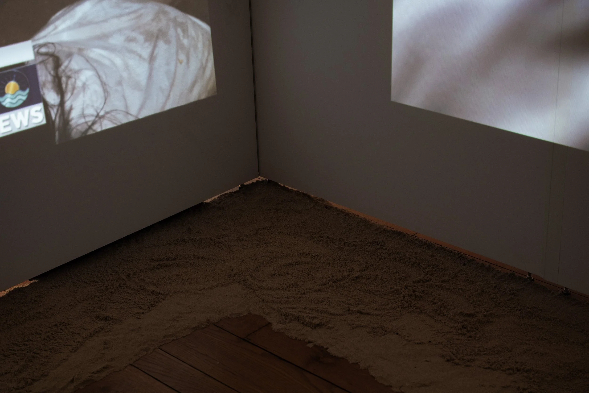 LizFaust_SPARK_Peale_11.07.25-35.jpg