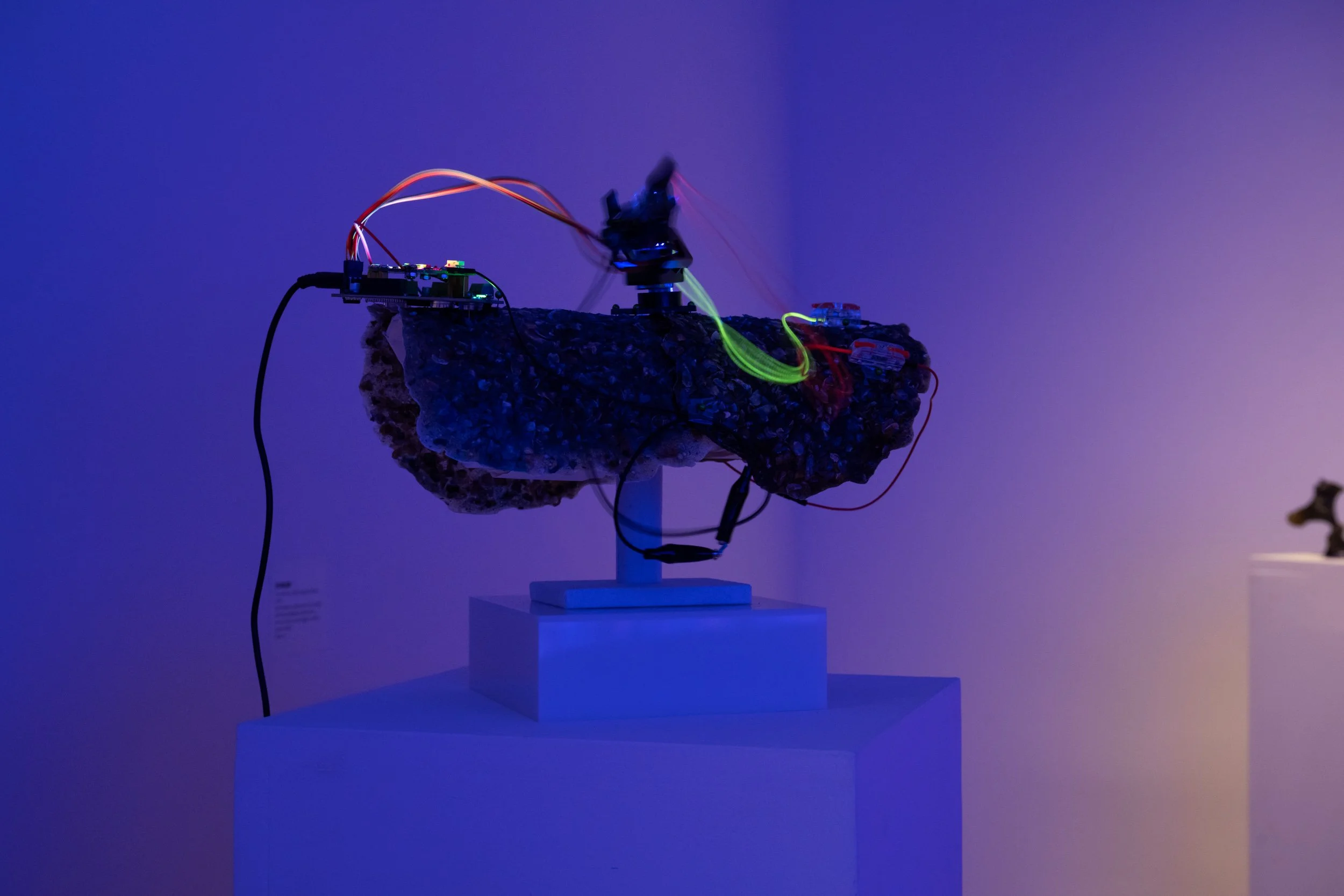 LizFaust_SPARK_Peale_11.07.25-44.jpg