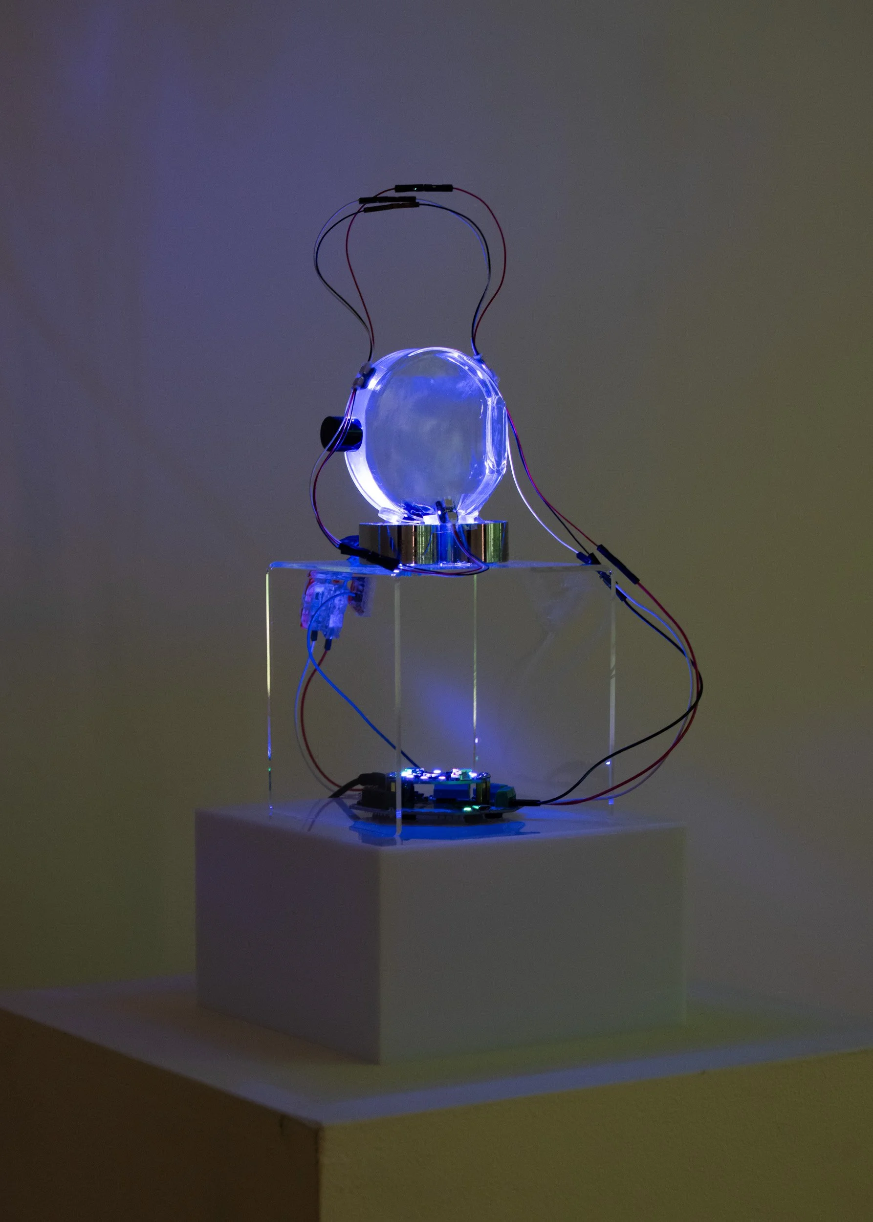 LizFaust_SPARK_Peale_11.07.25-47.jpg