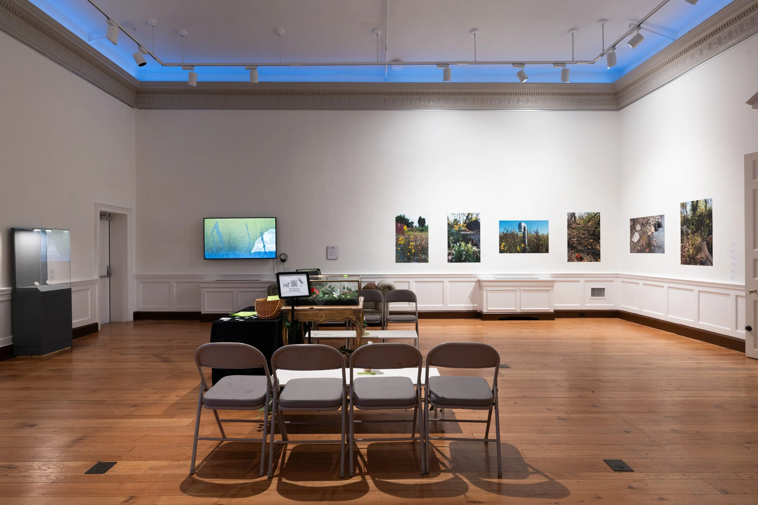 LizFaust_SPARK_Peale_11.07.25-56.jpg