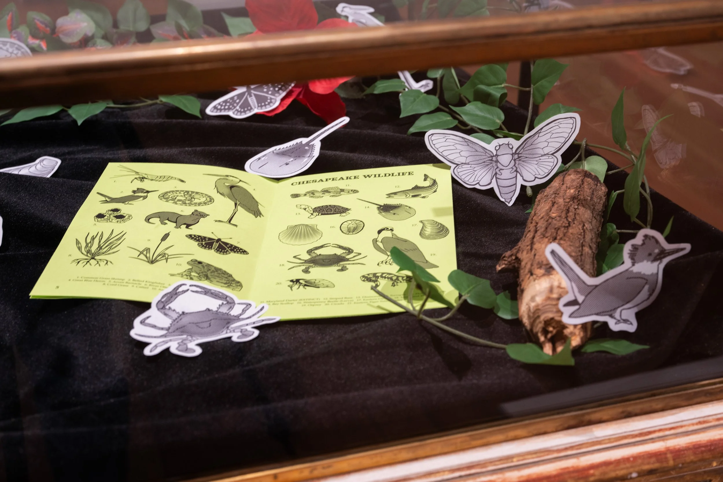 LizFaust_SPARK_Peale_11.07.25-61.jpg