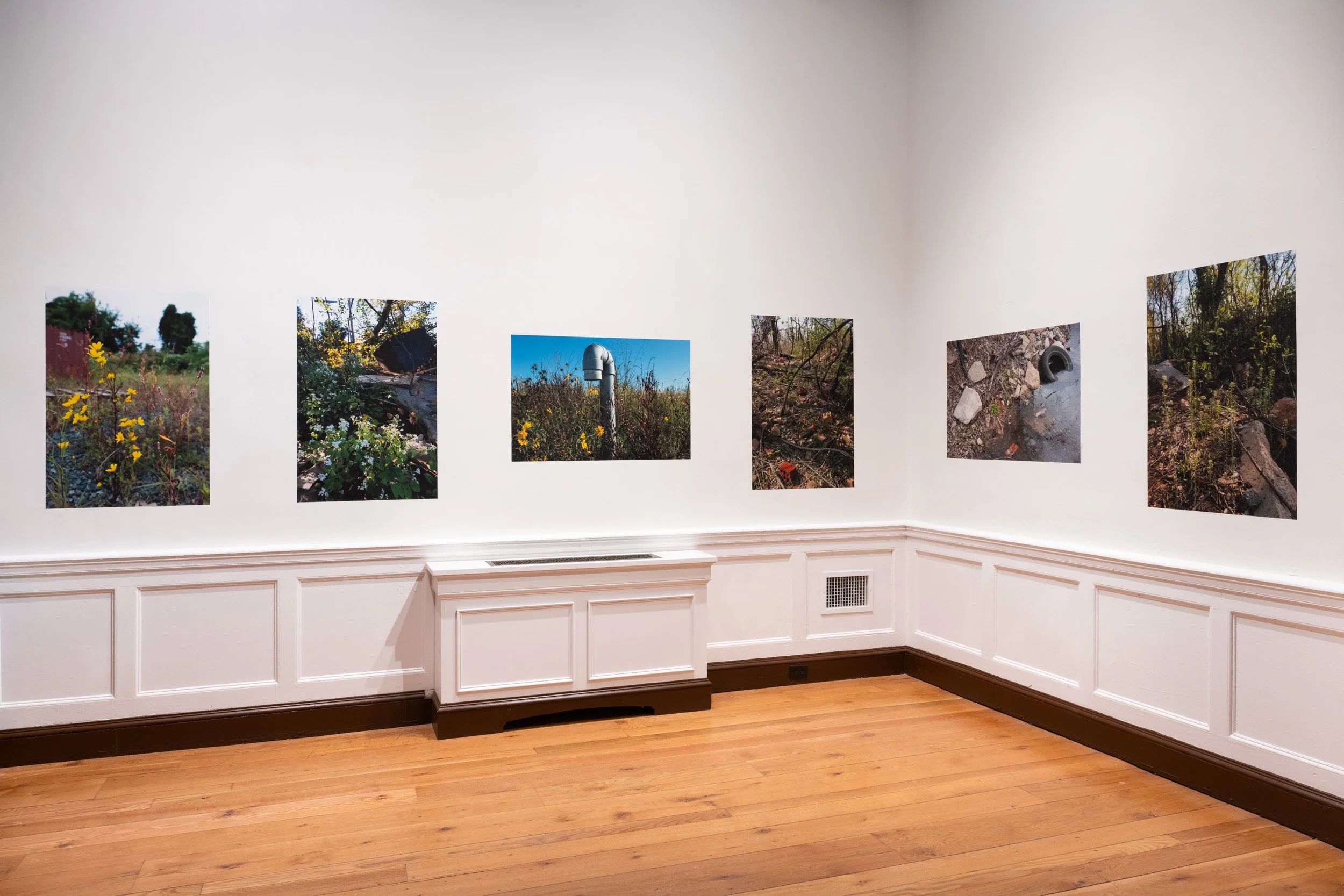 LizFaust_SPARK_Peale_11.07.25-63.jpg