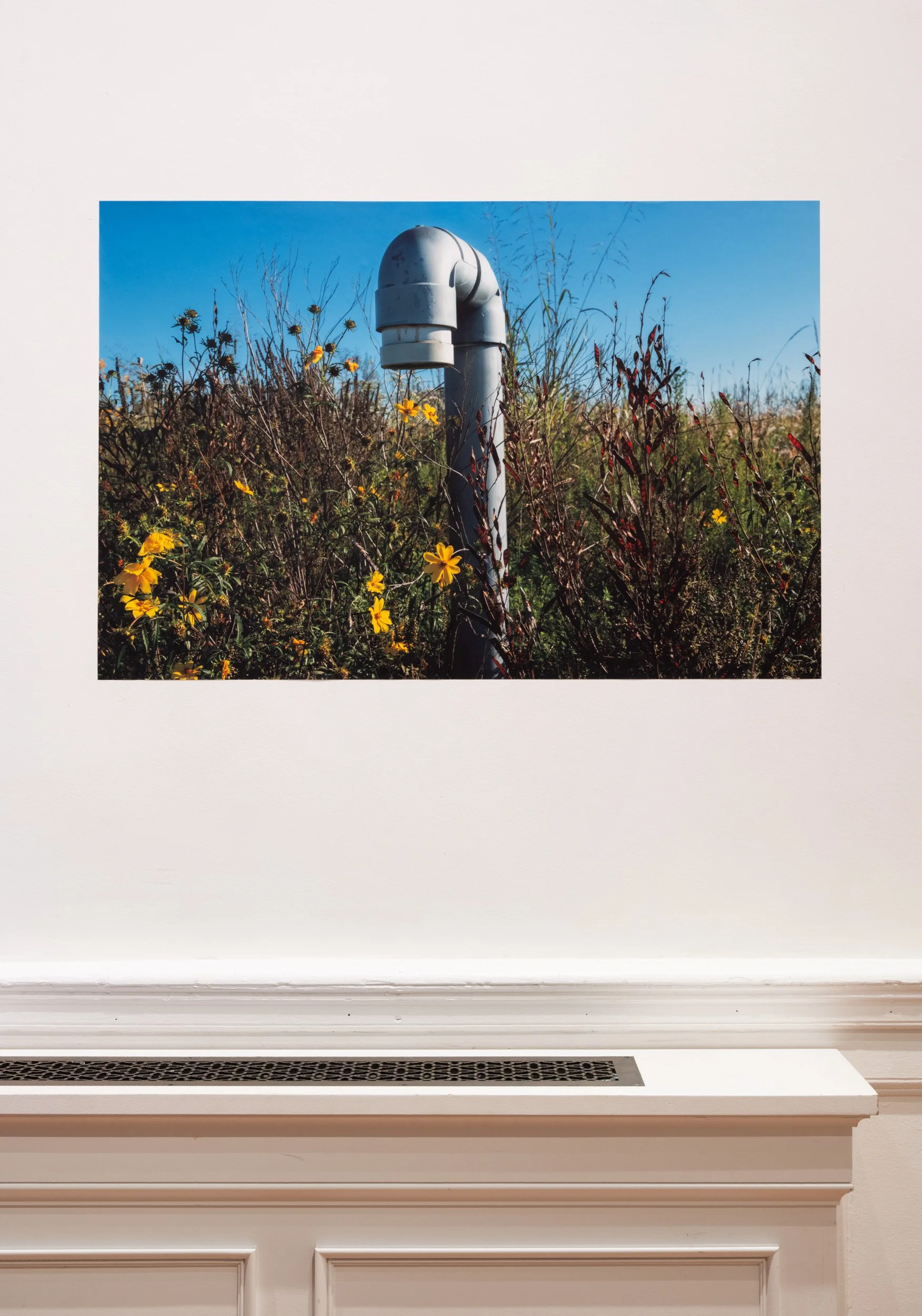LizFaust_SPARK_Peale_11.07.25-65.jpg