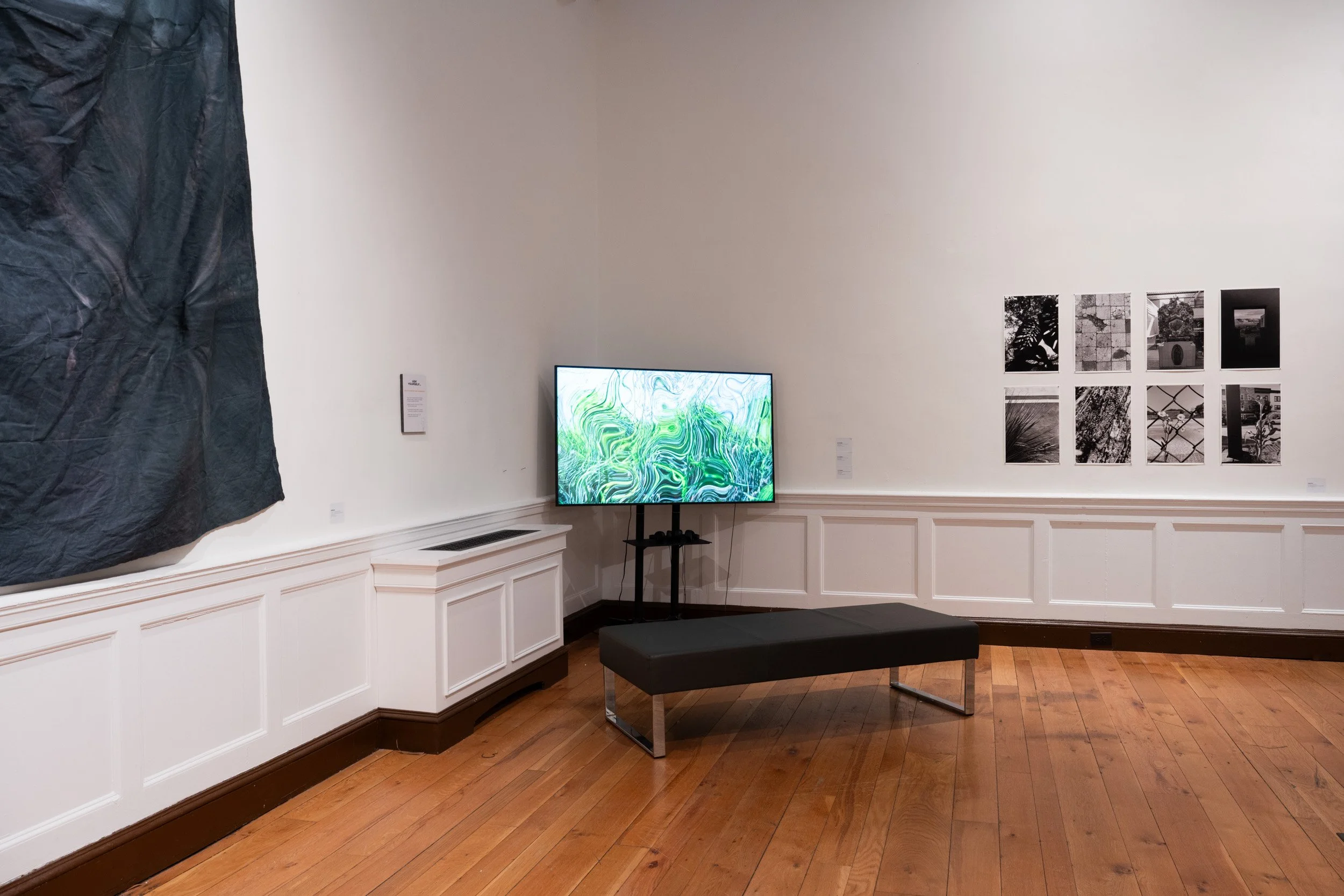 LizFaust_SPARK_Peale_11.07.25-76.jpg